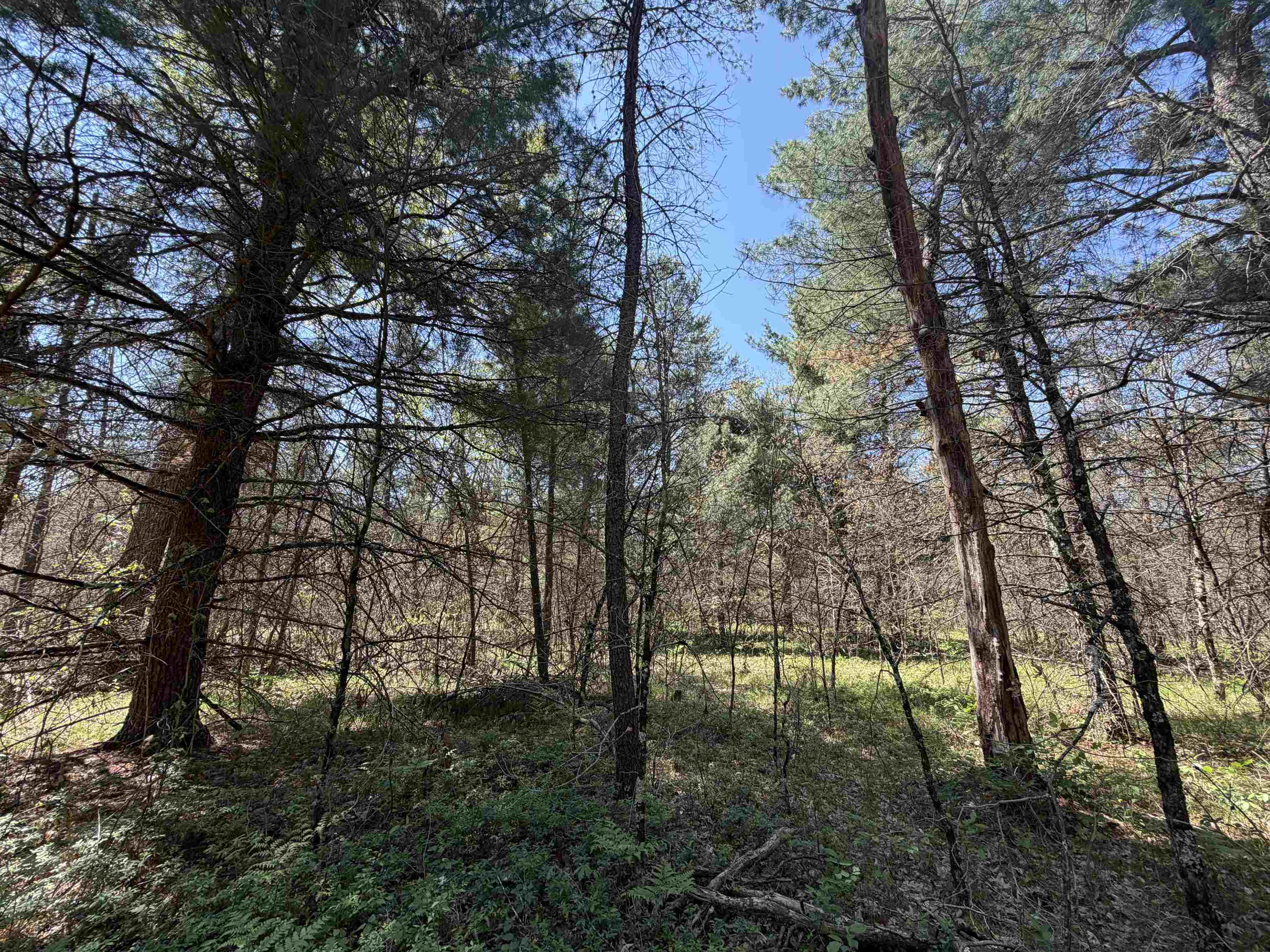 E Gladys Lane Property Photo 5