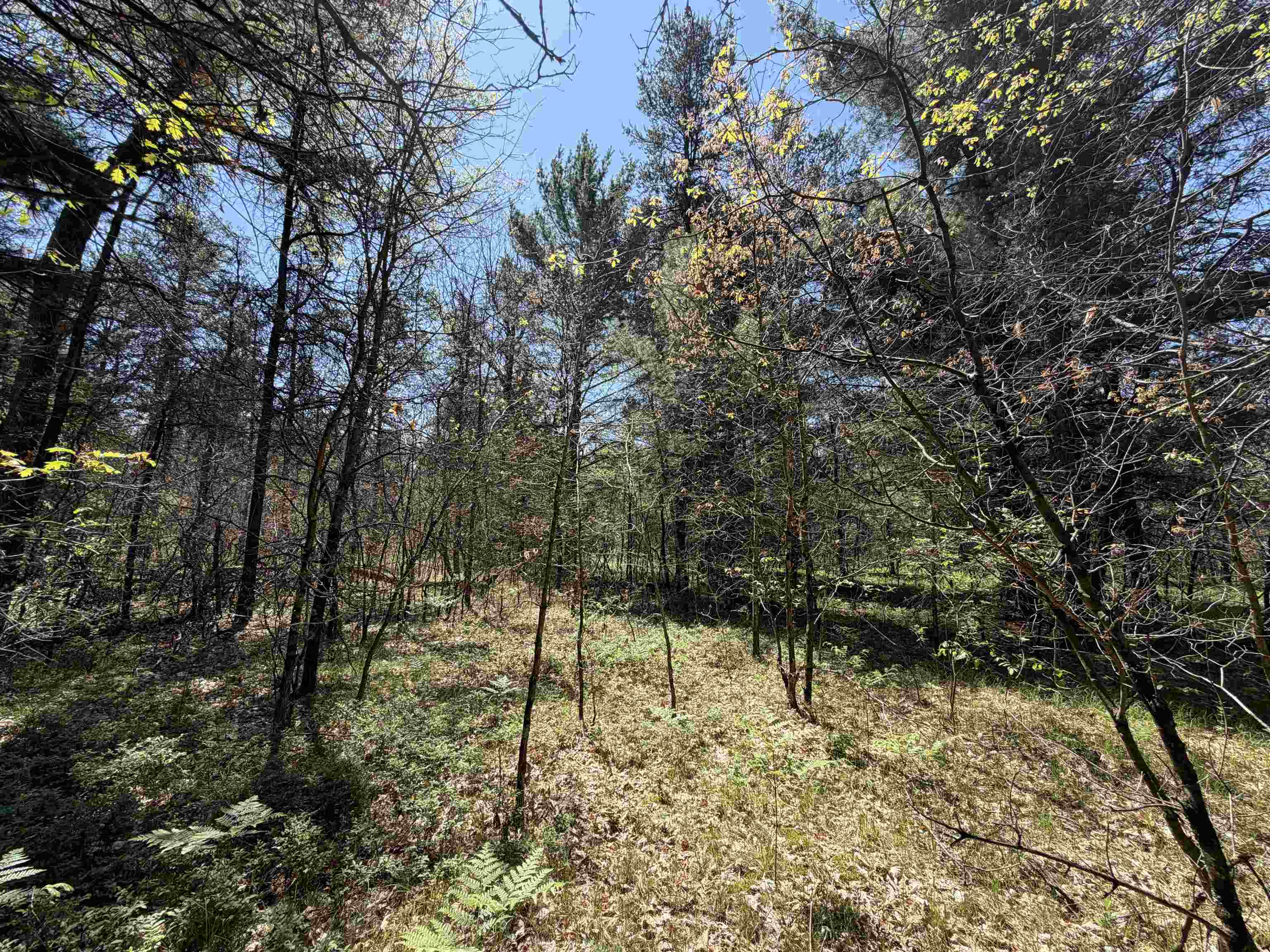 E Gladys Lane Property Photo 6