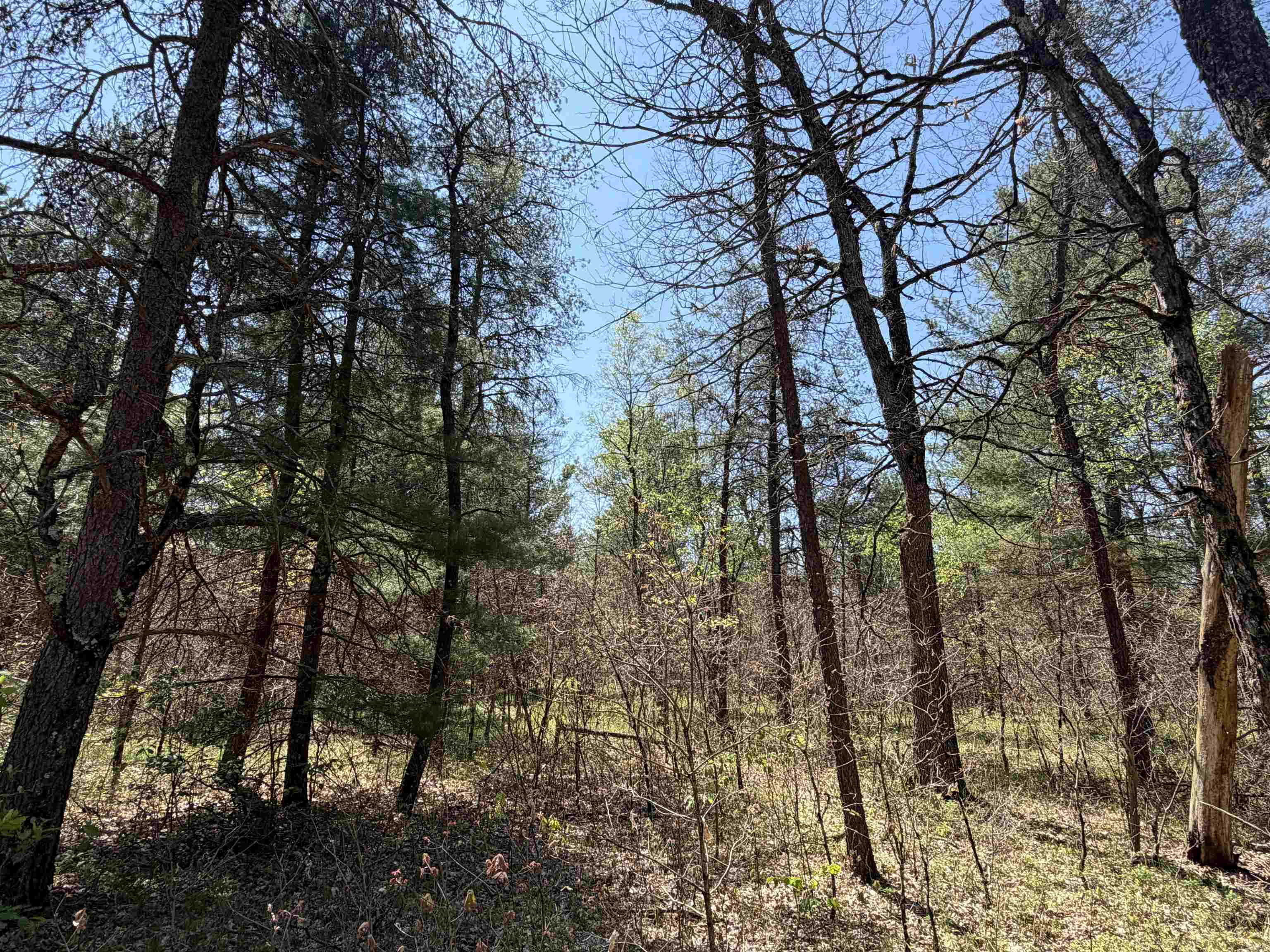 E Gladys Lane Property Photo 7