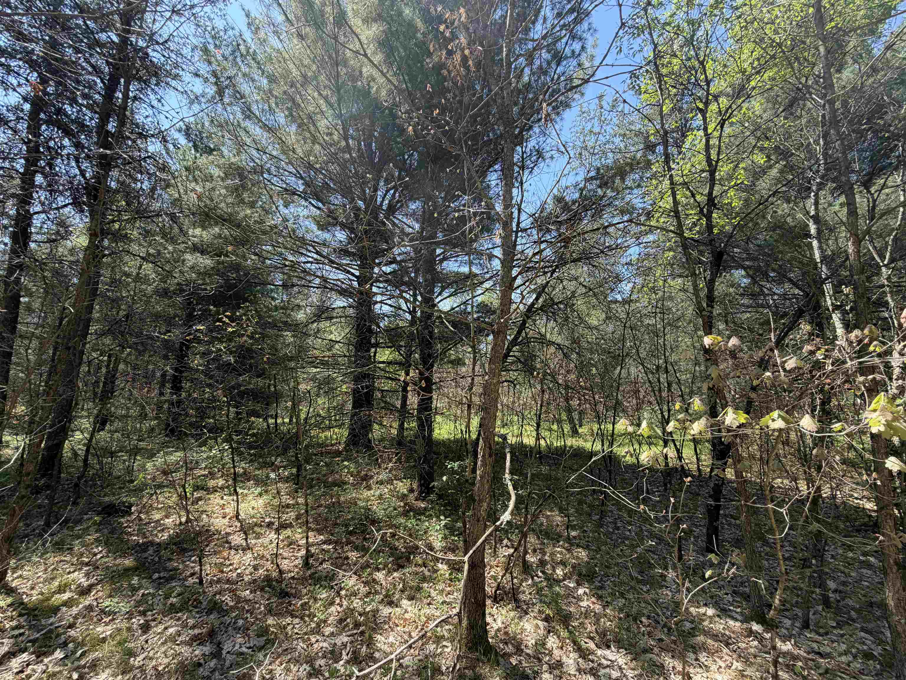 E Gladys Lane Property Photo 8