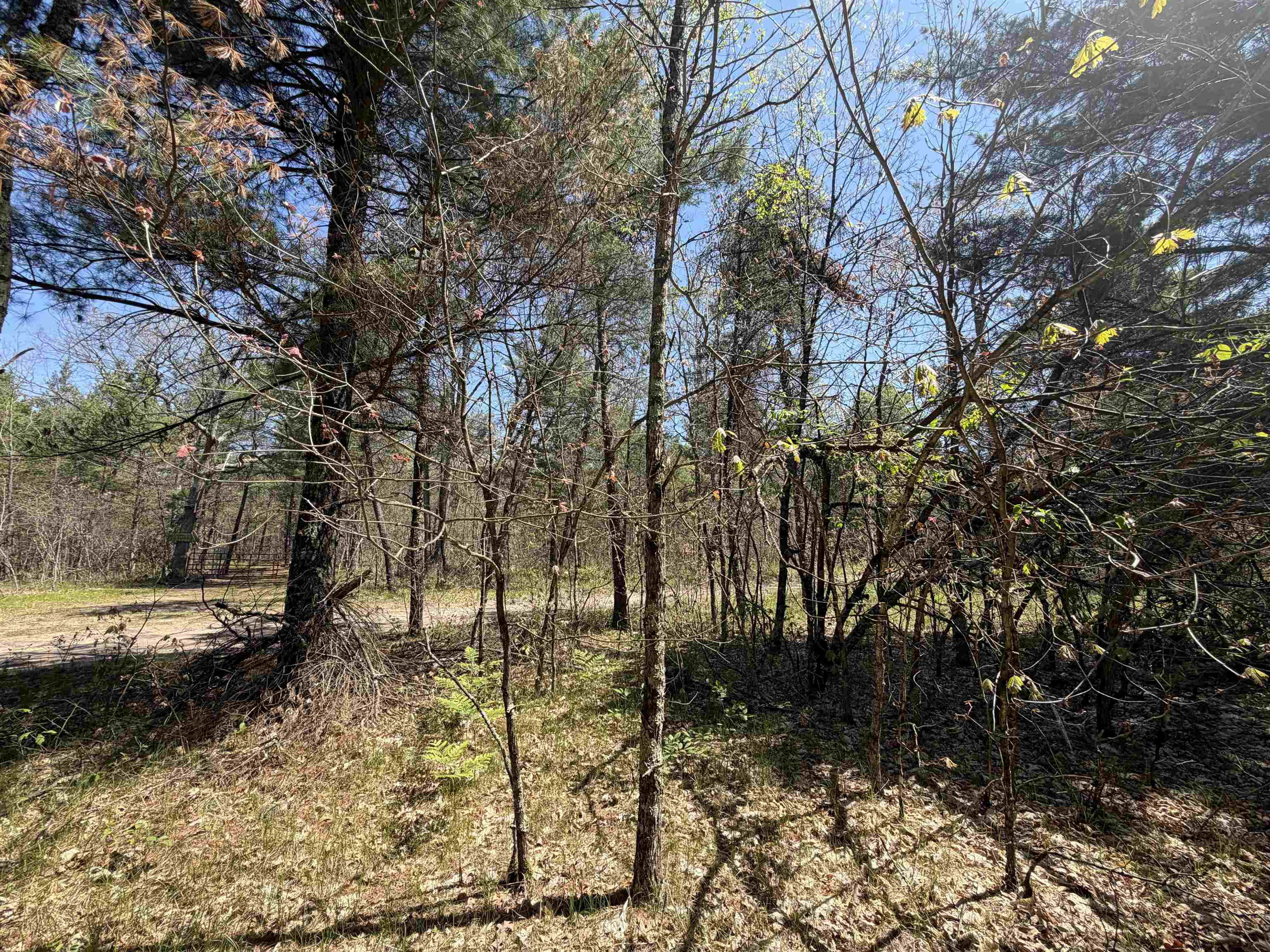 E Gladys Lane Property Photo 10