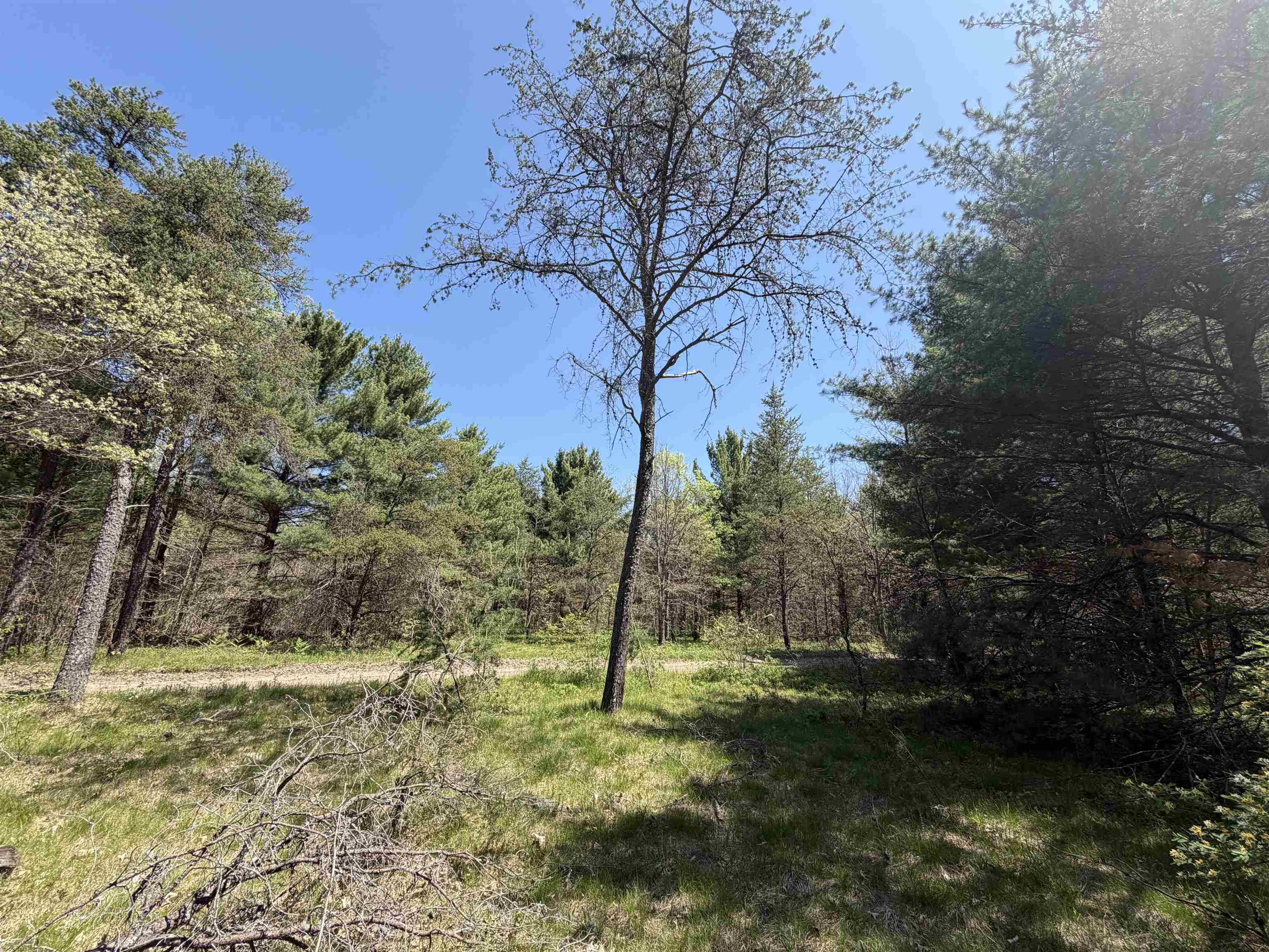 E Gladys Lane Property Photo 11