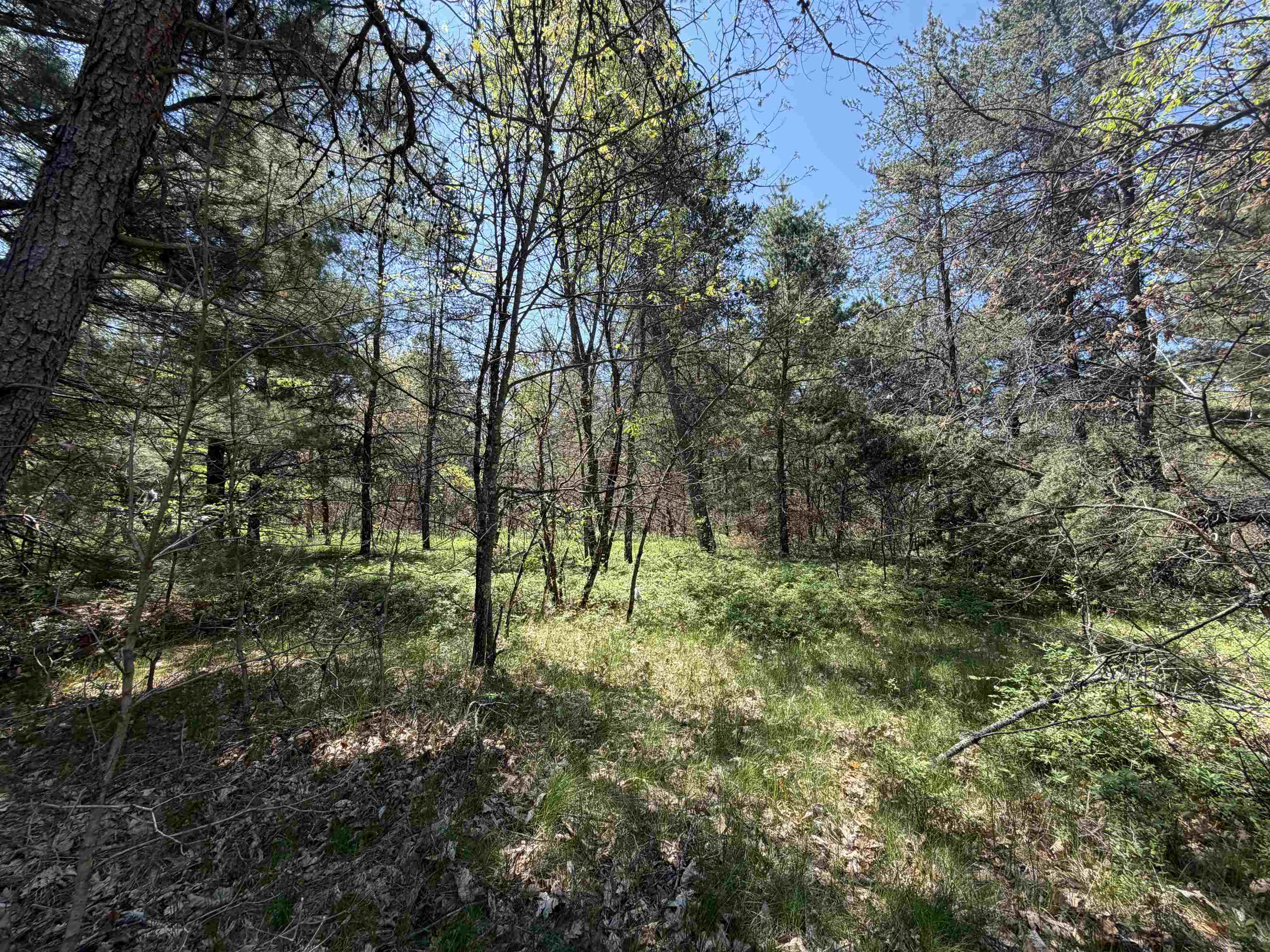 E Gladys Lane Property Photo 12