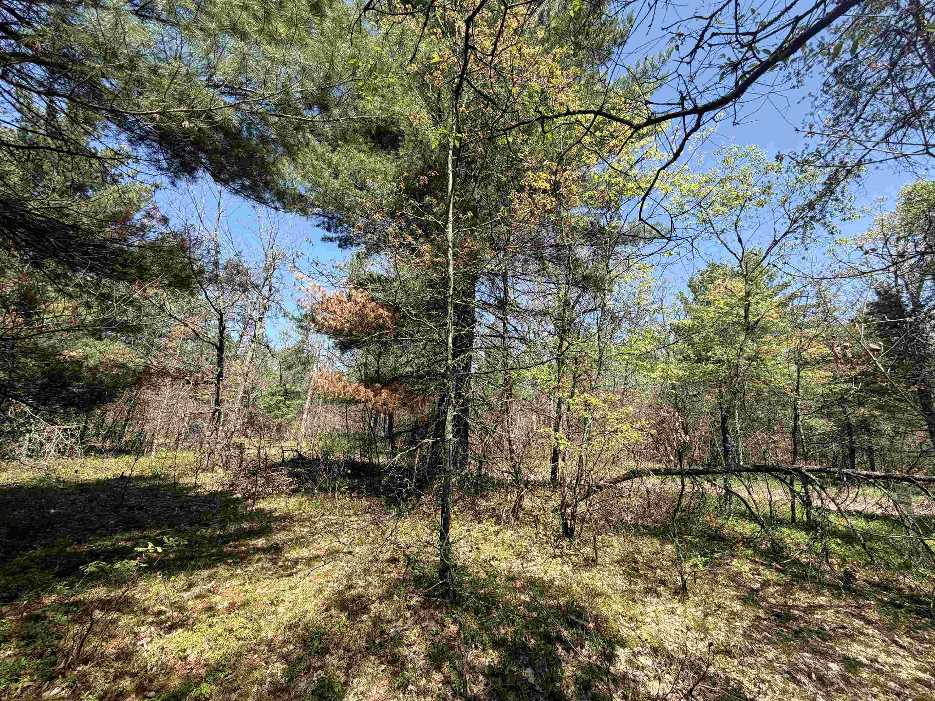 E Gladys Lane Property Photo 13