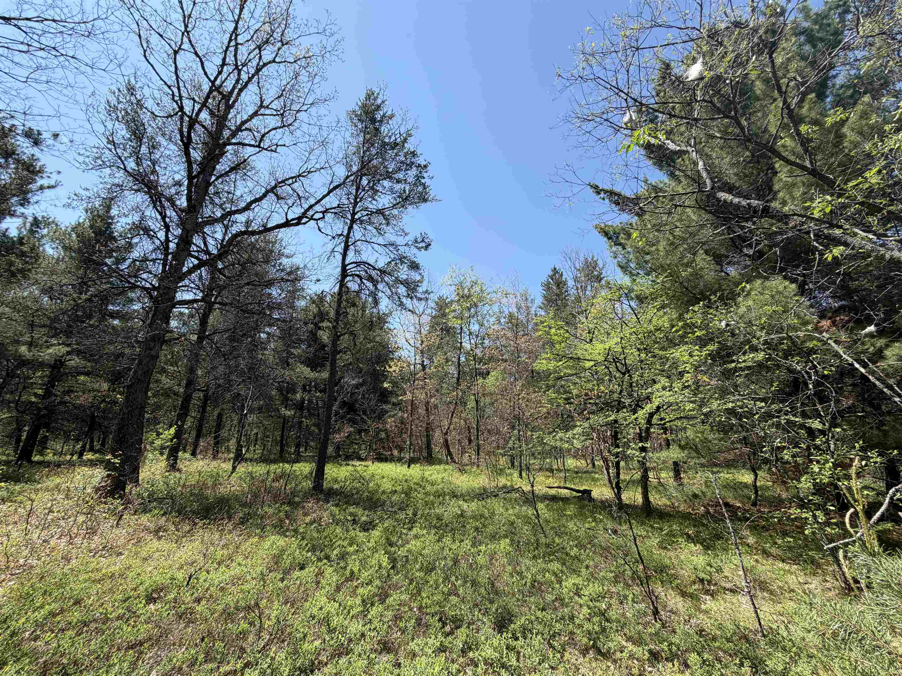Us-10 Property Photo 5