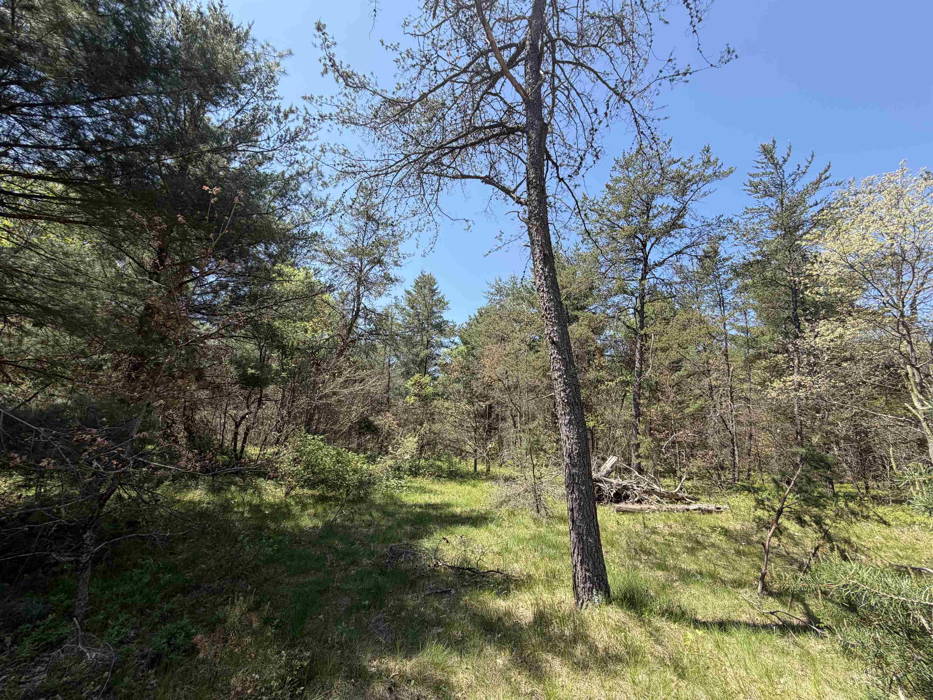 Us-10 Property Photo 9