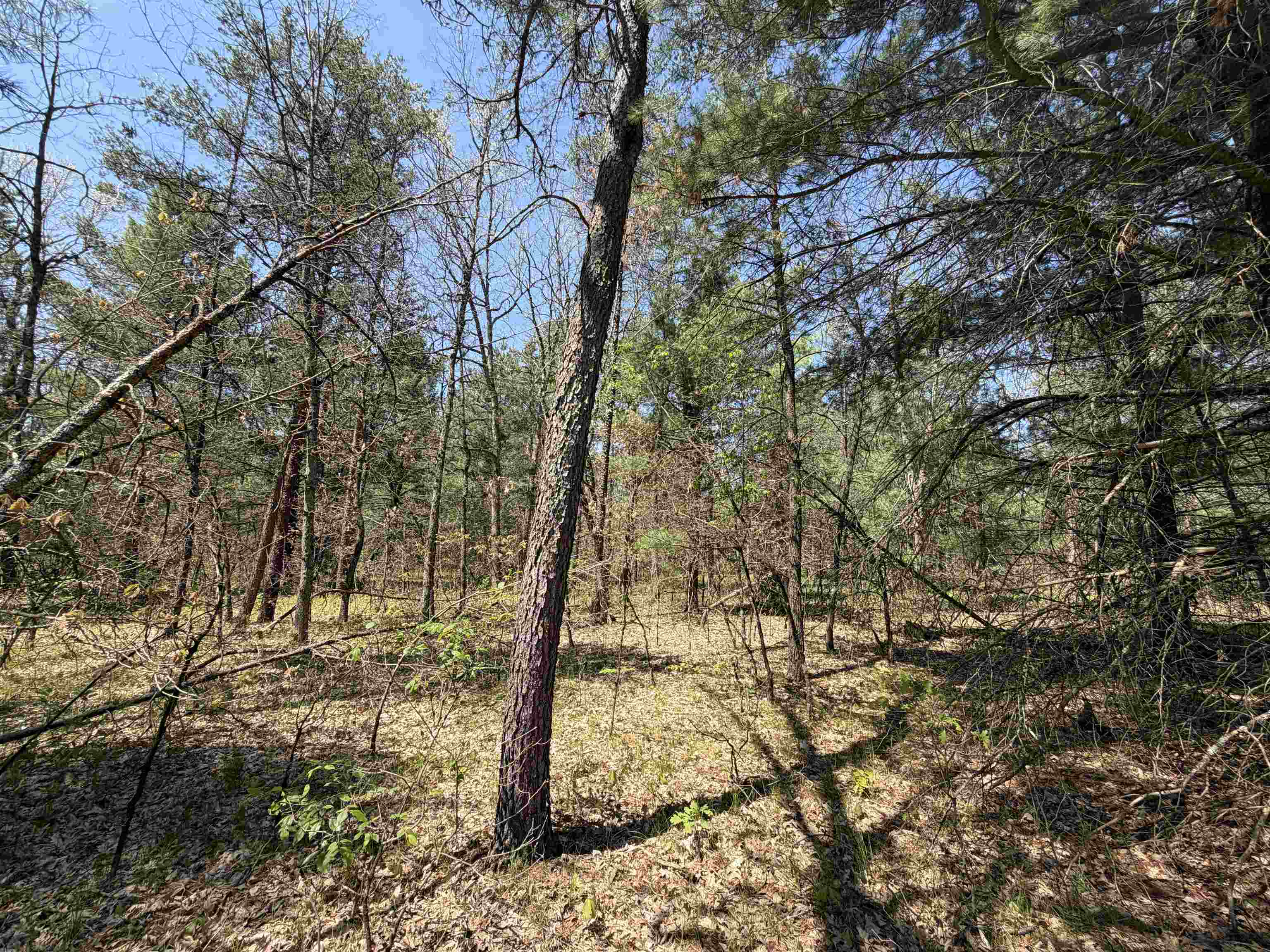 Us-10 Property Photo 12