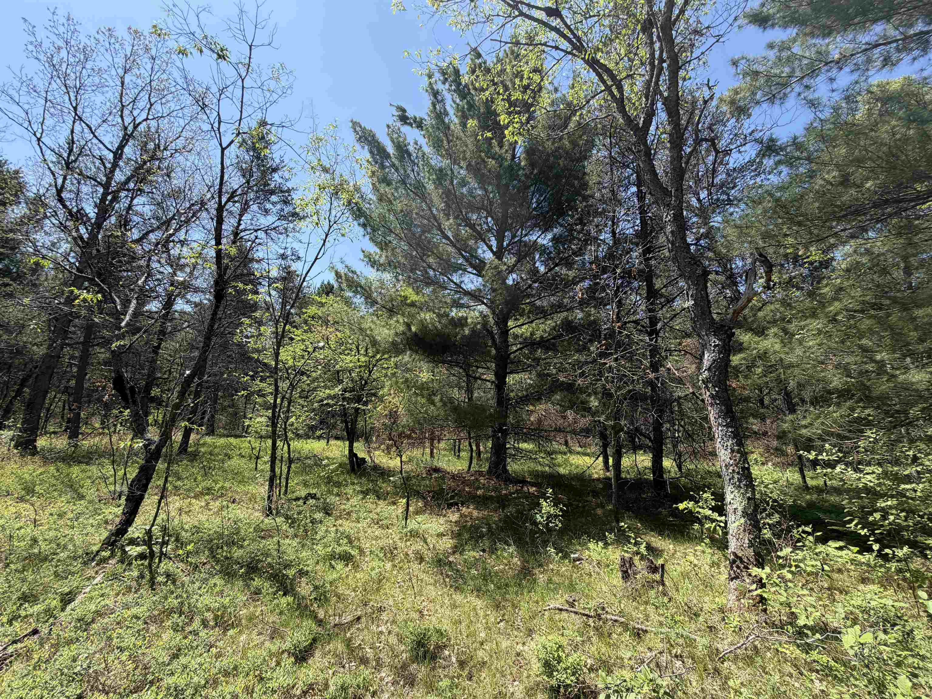 Us-10 Property Photo 13