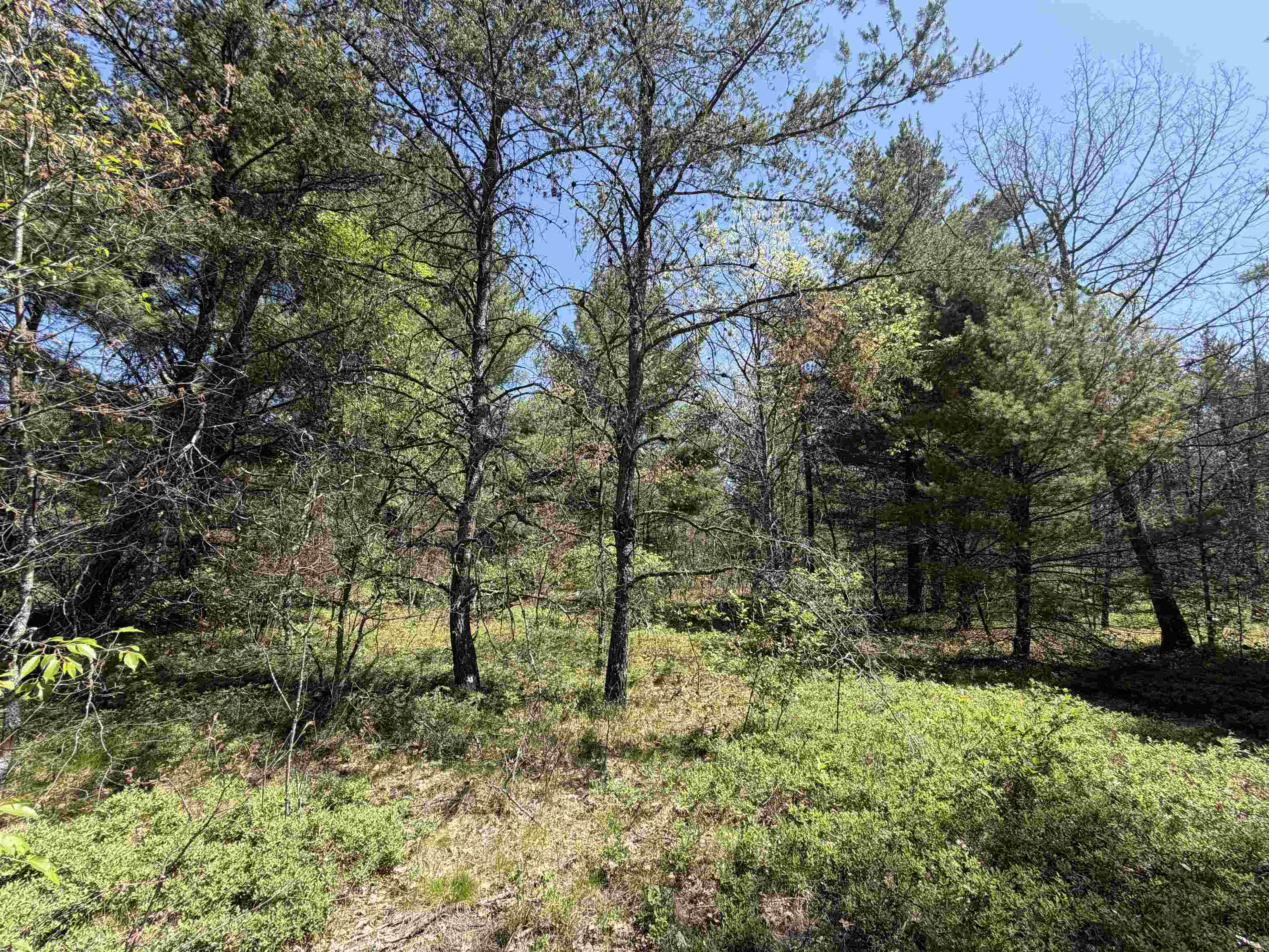Us-10 Property Photo 14