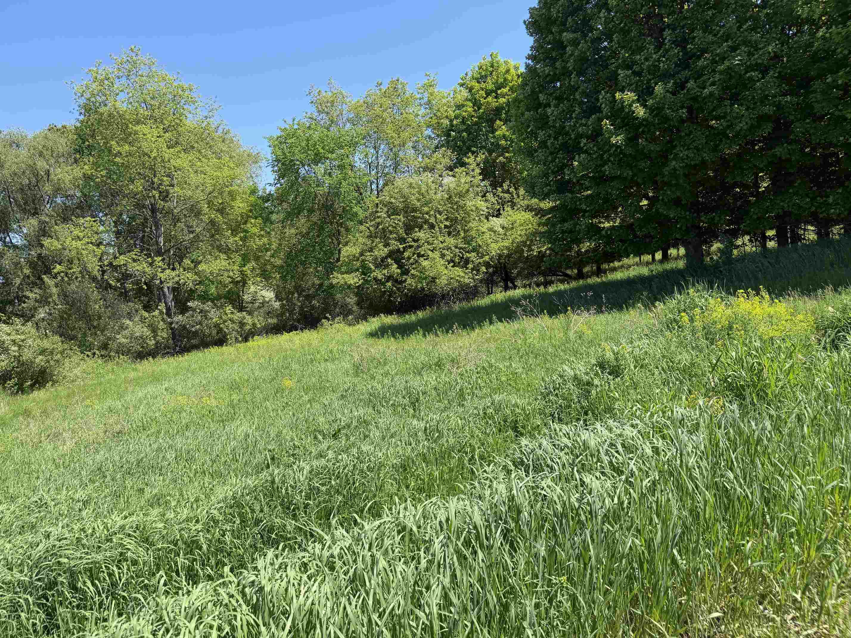 1 Shanty Creek Road Property Photo 2