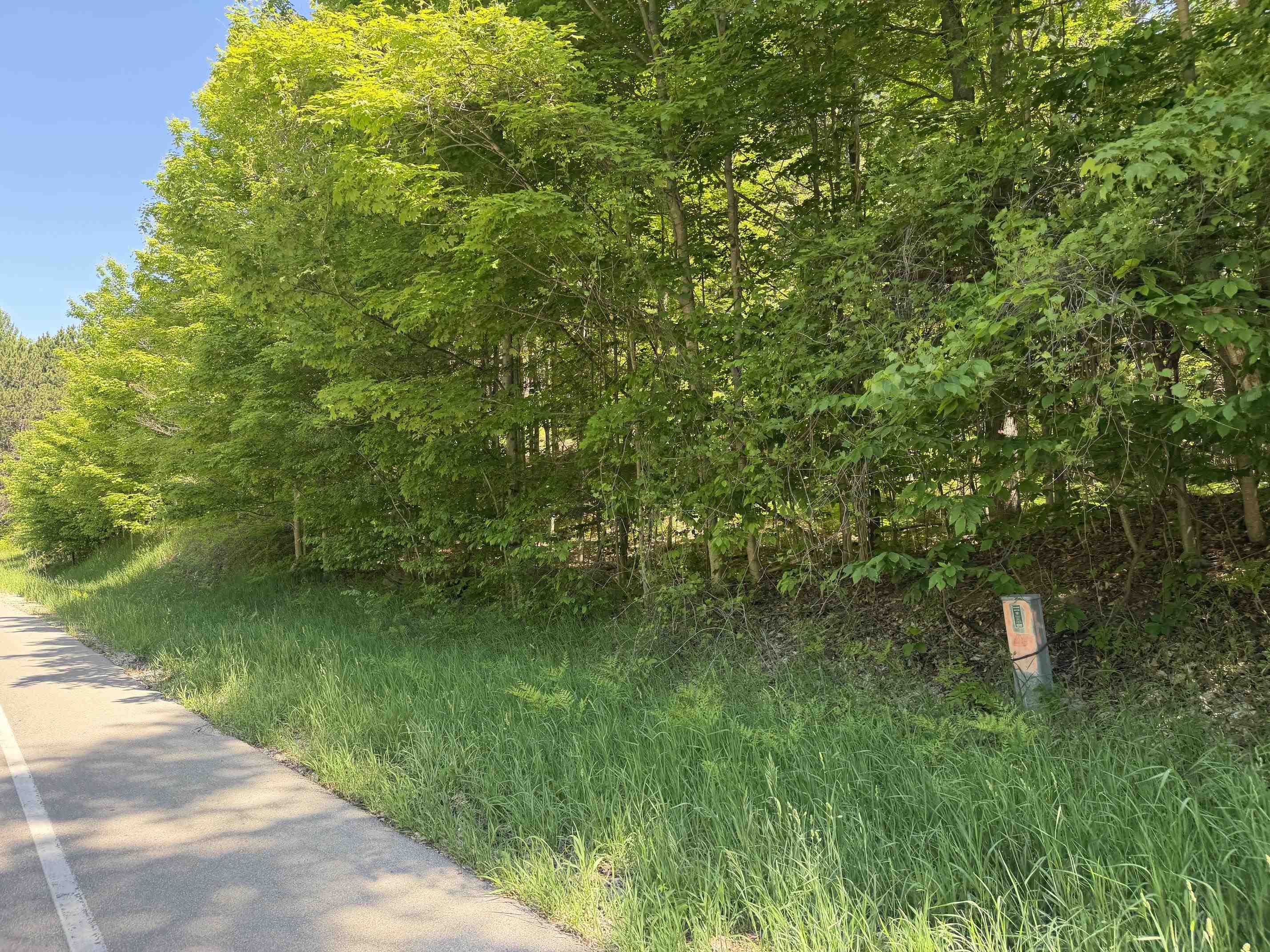 1 Shanty Creek Road Property Photo 3