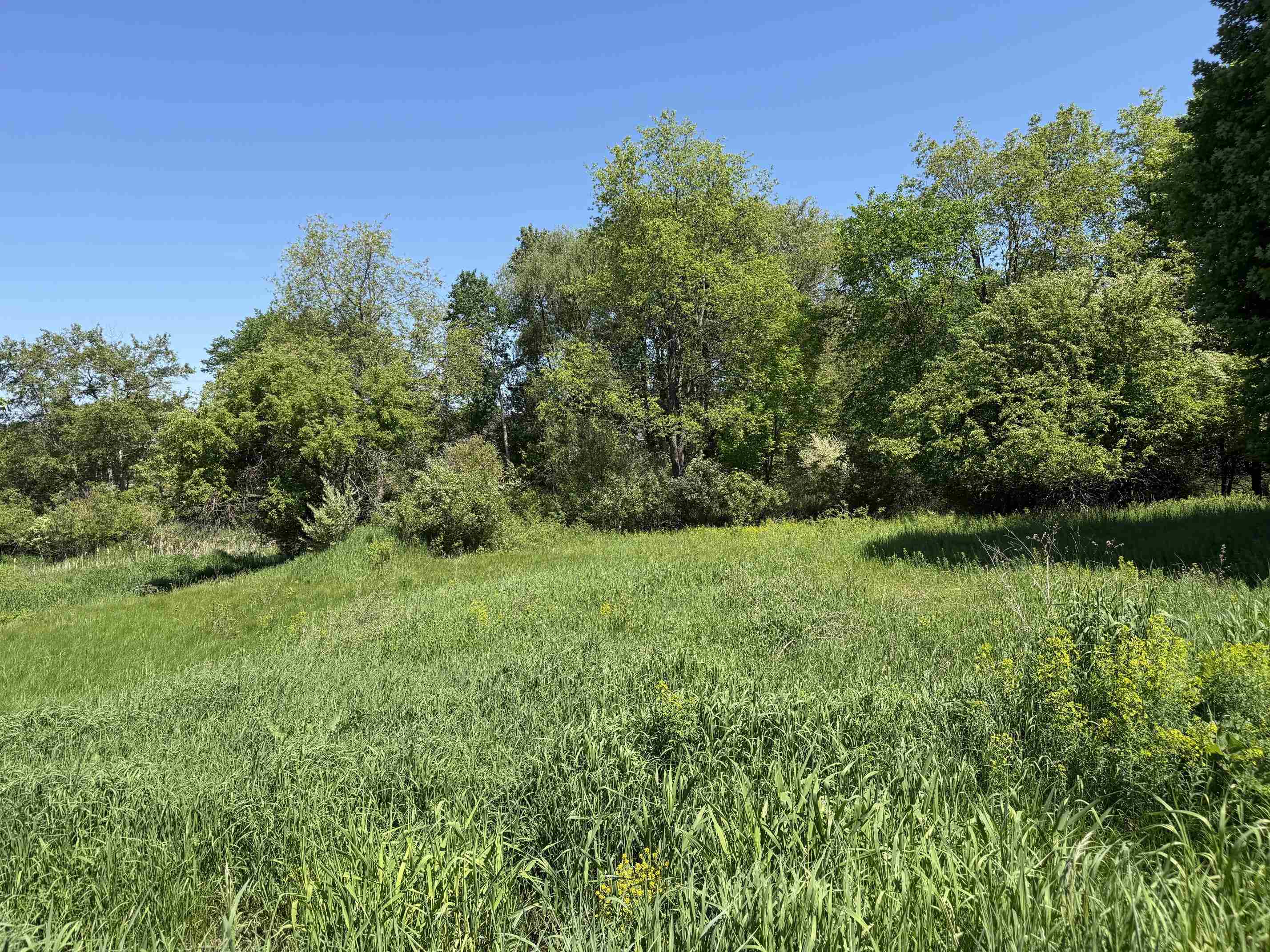 1 Shanty Creek Road Property Photo 4