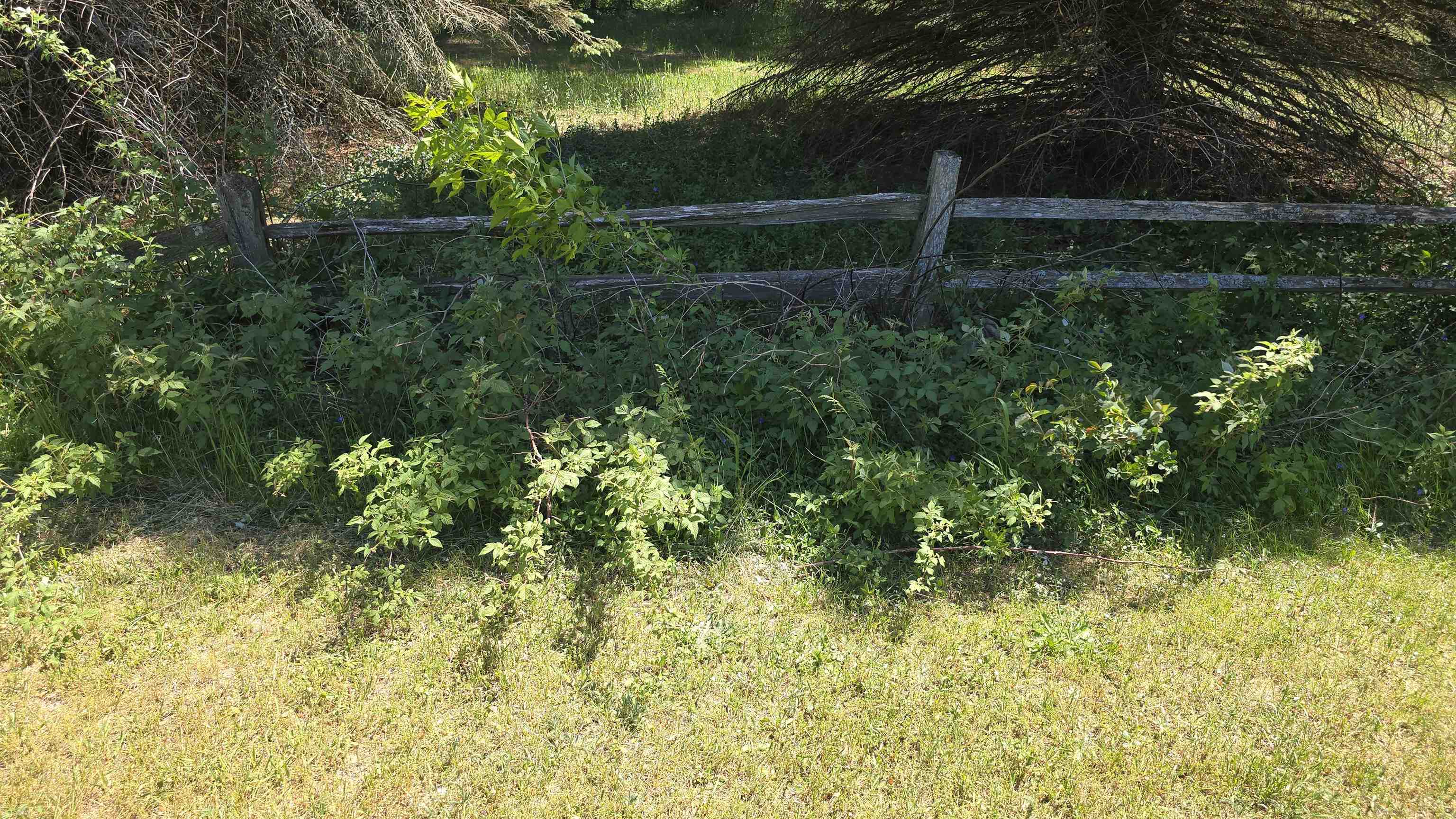 4132 Main Property Photo 25