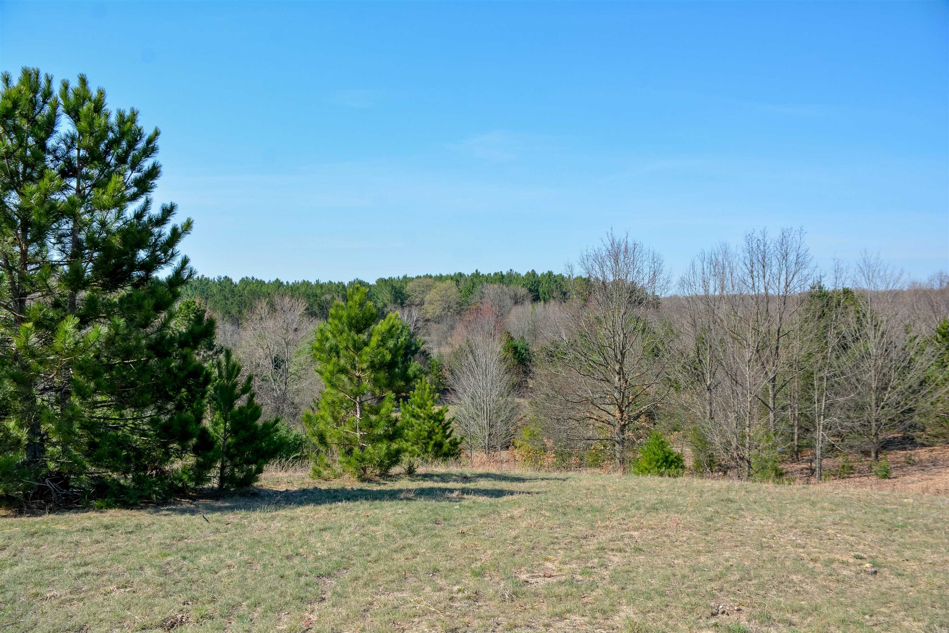 5986 Paradise Ranch Property Photo 24