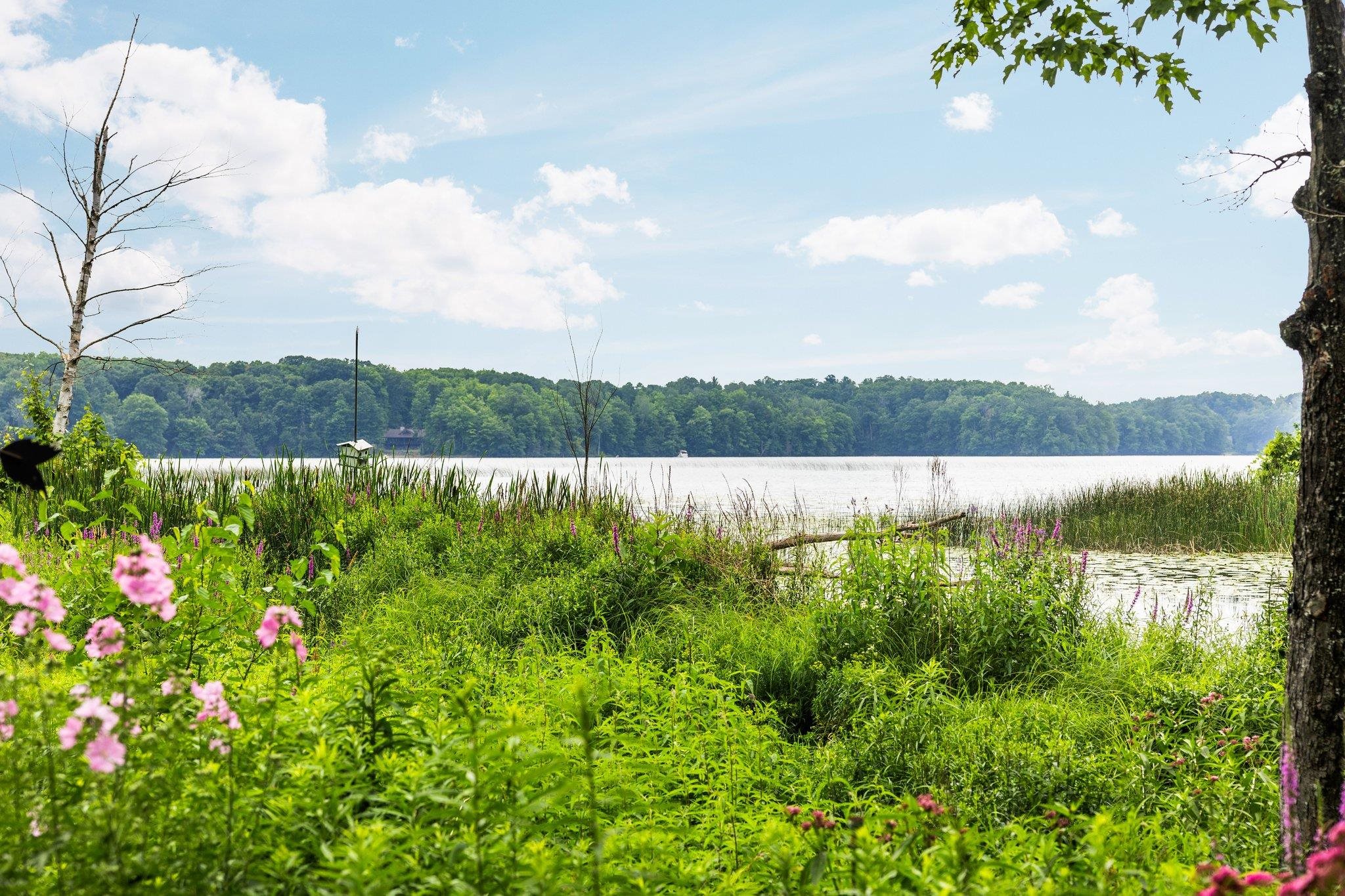 8370 Lake Of The Woods Road Property Photo 46