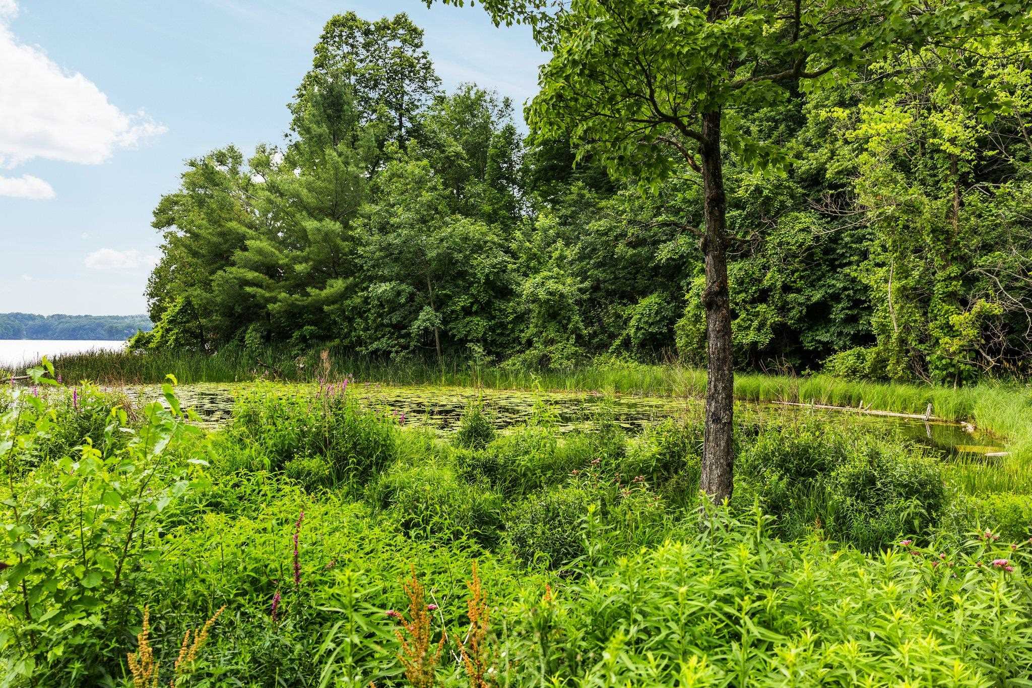 8370 Lake Of The Woods Road Property Photo 47