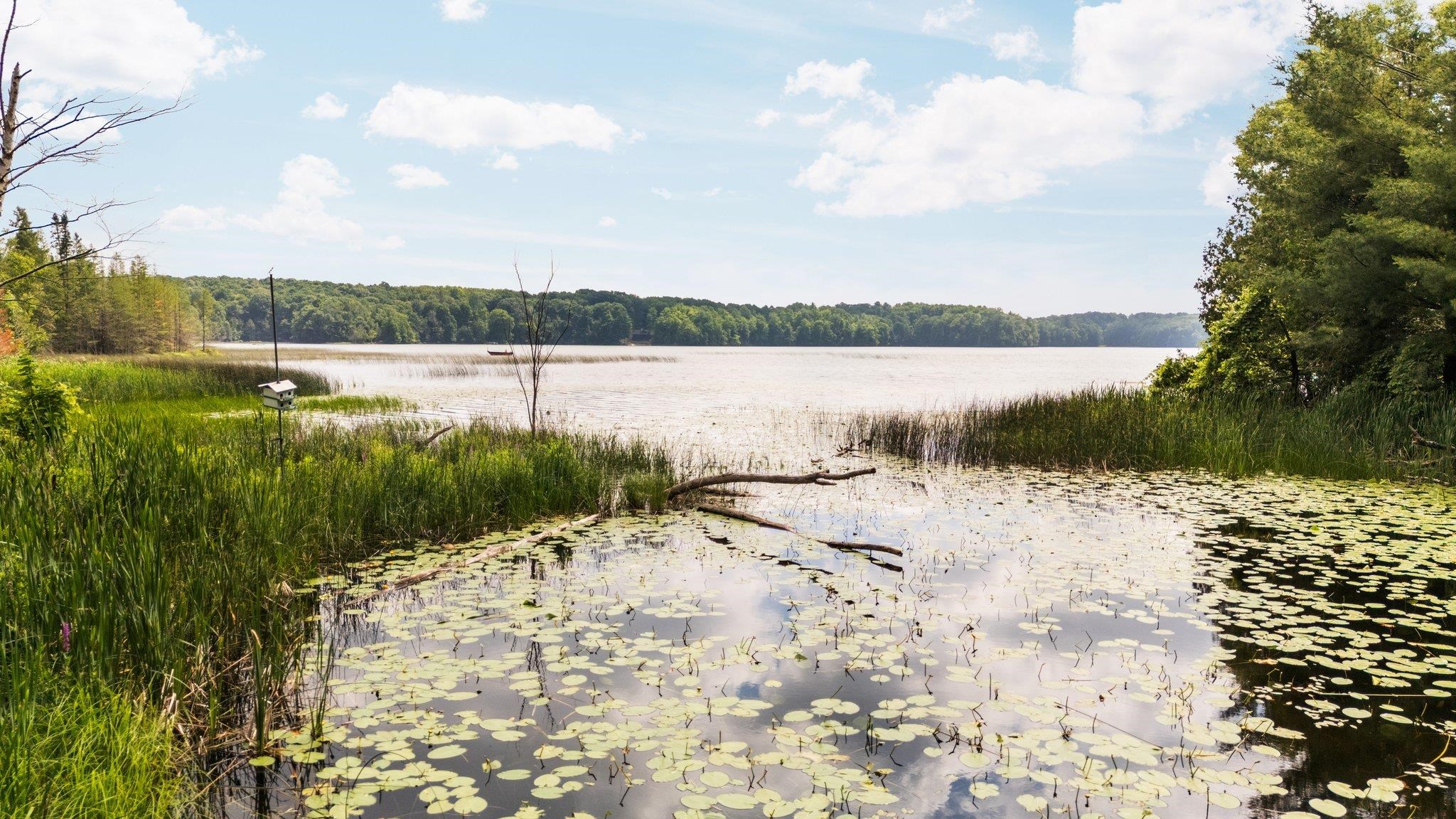 8370 Lake Of The Woods Road Property Photo 54