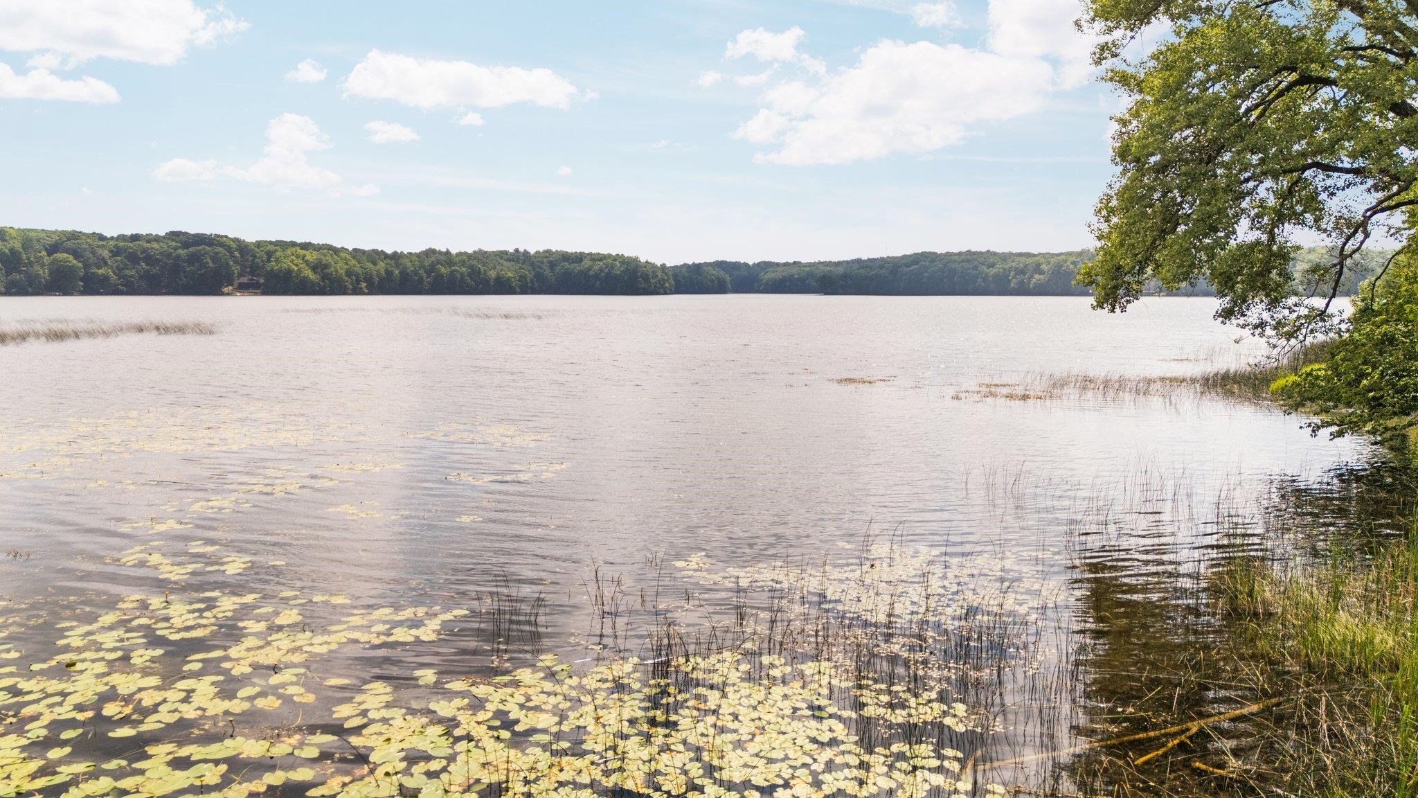 8370 Lake Of The Woods Road Property Photo 56