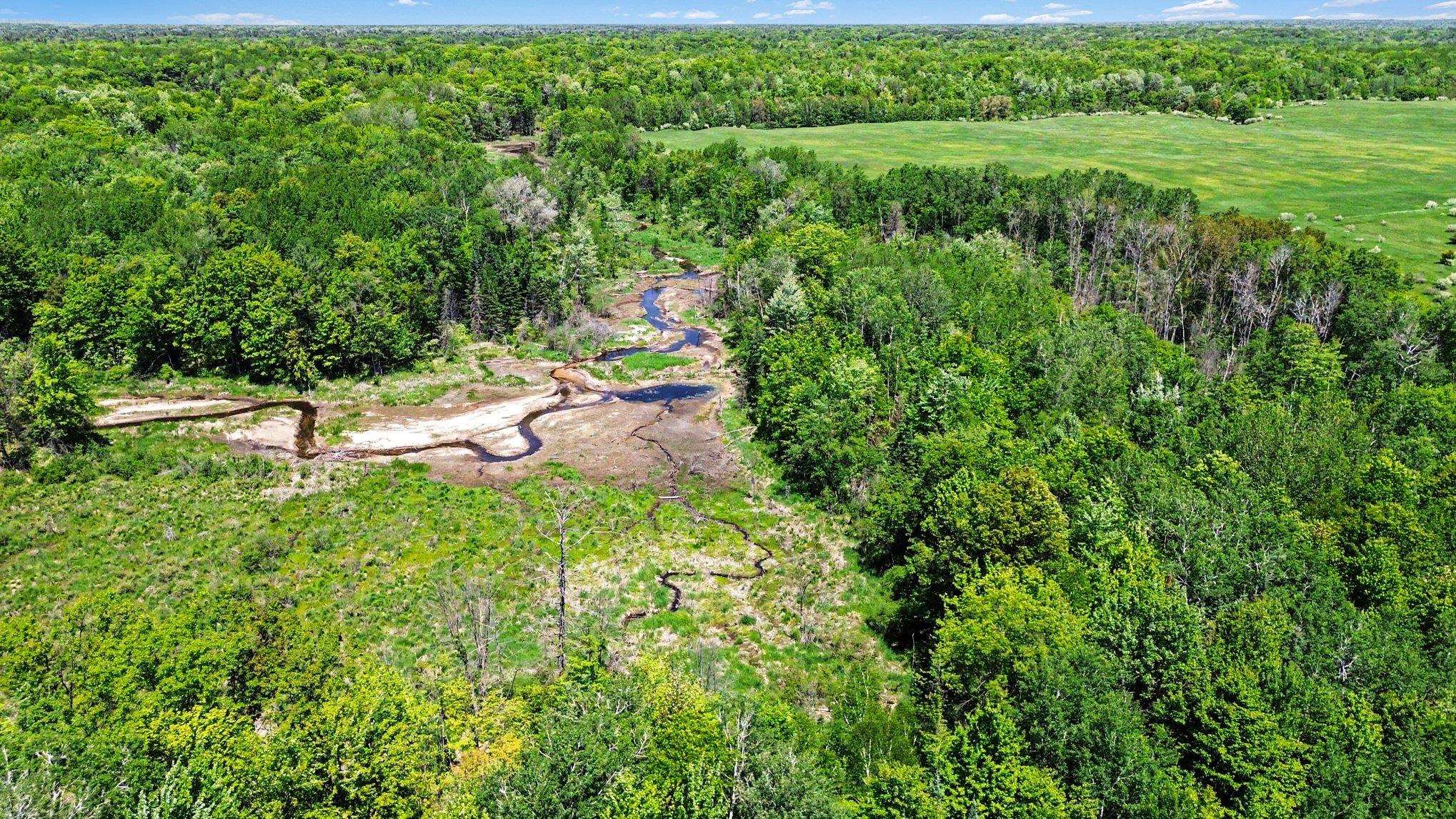 8480 Ora Lake Road Property Photo 4