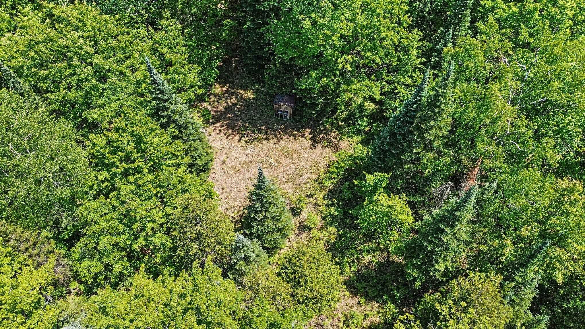 8480 Ora Lake Road Property Photo 7