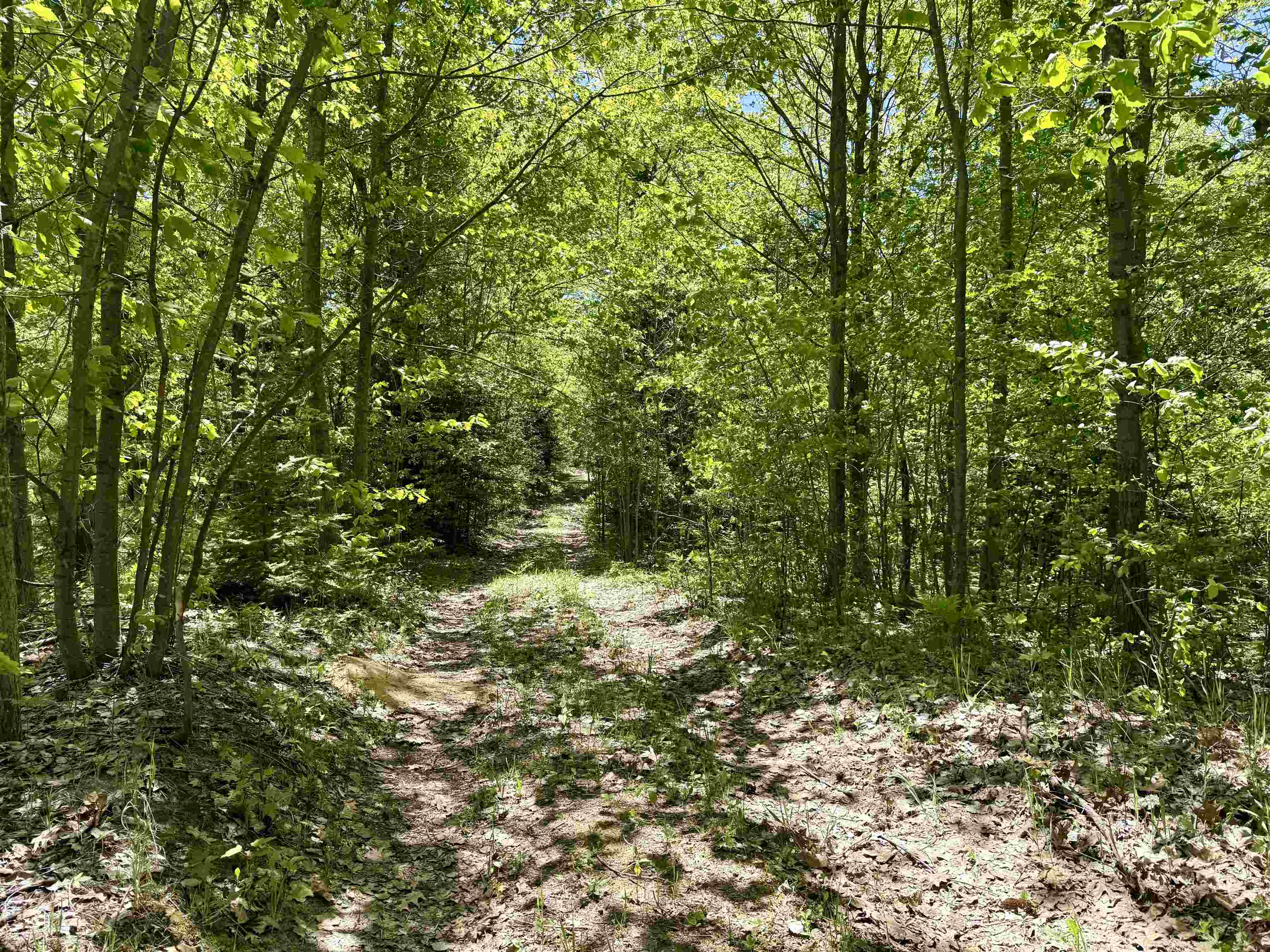 8480 Ora Lake Road Property Photo 9