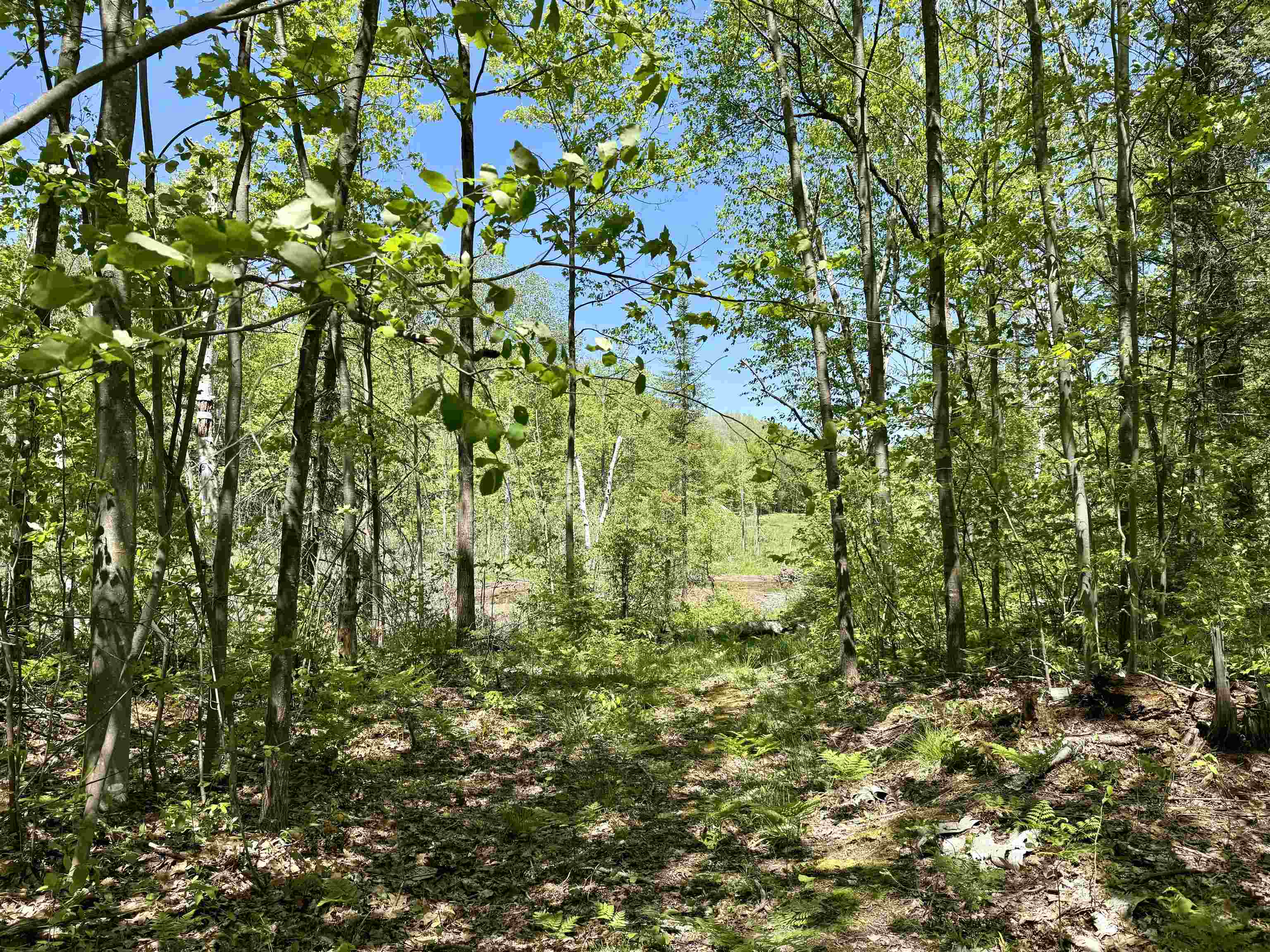 8480 Ora Lake Road Property Photo 10