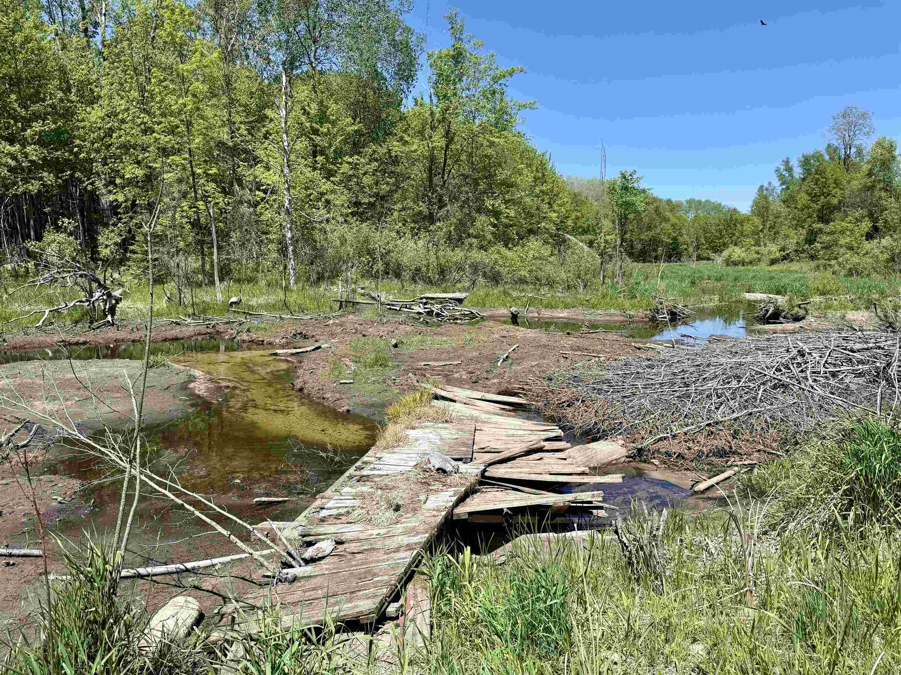 8480 Ora Lake Road Property Photo 12