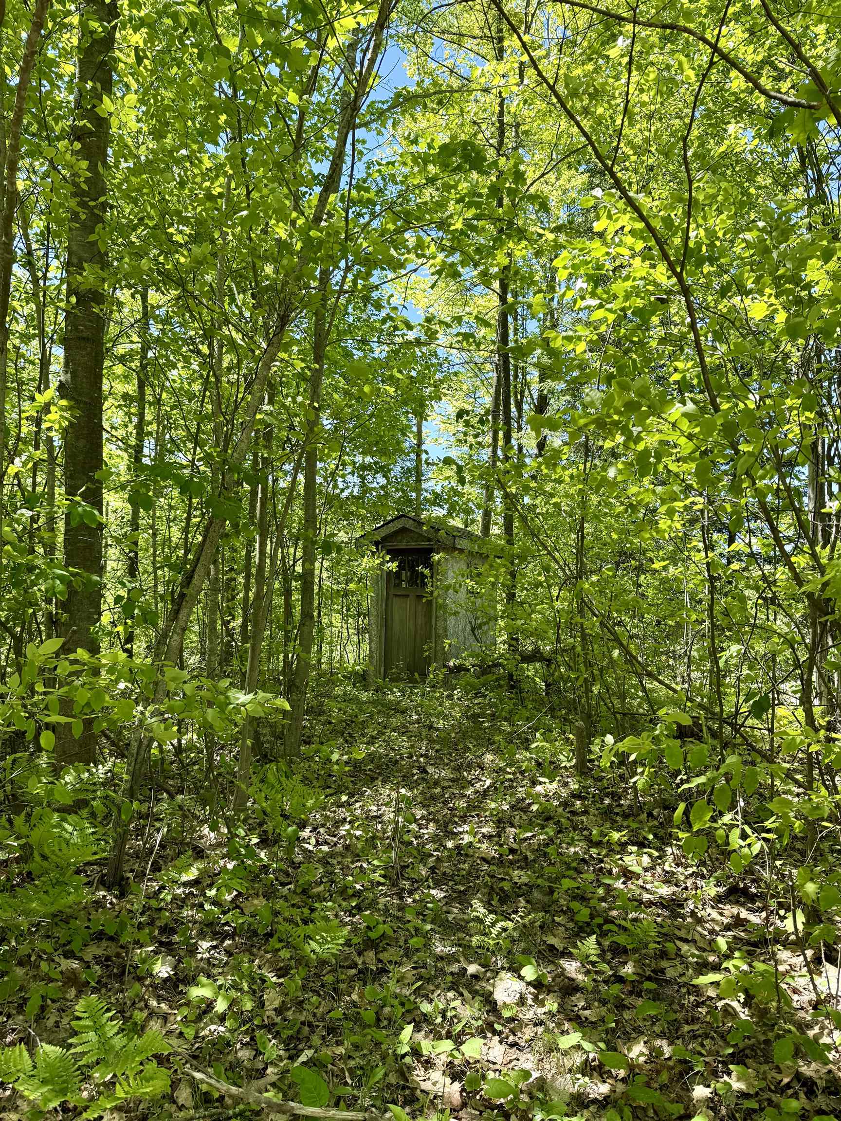 8480 Ora Lake Road Property Photo 14