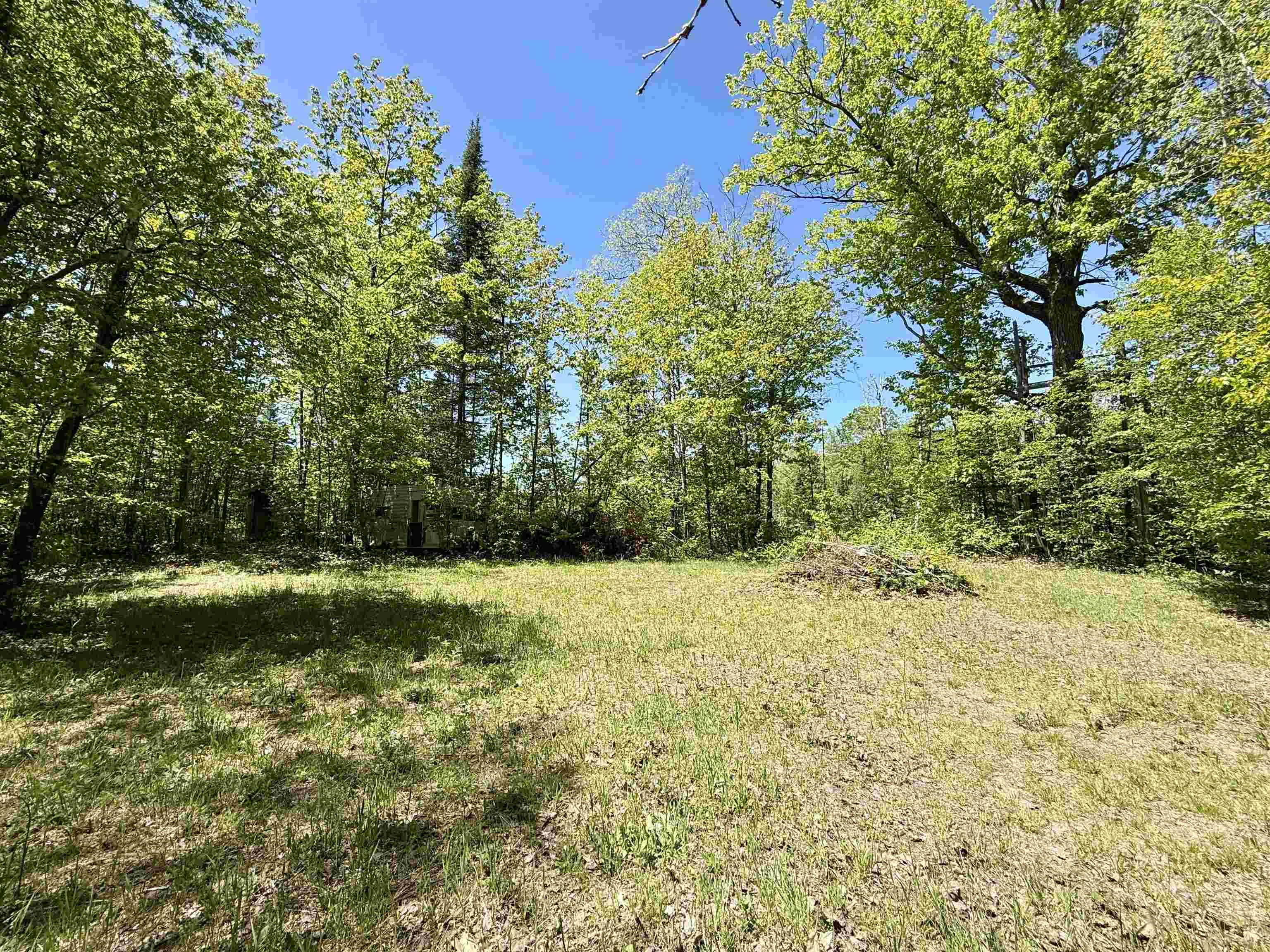 8480 Ora Lake Road Property Photo 15