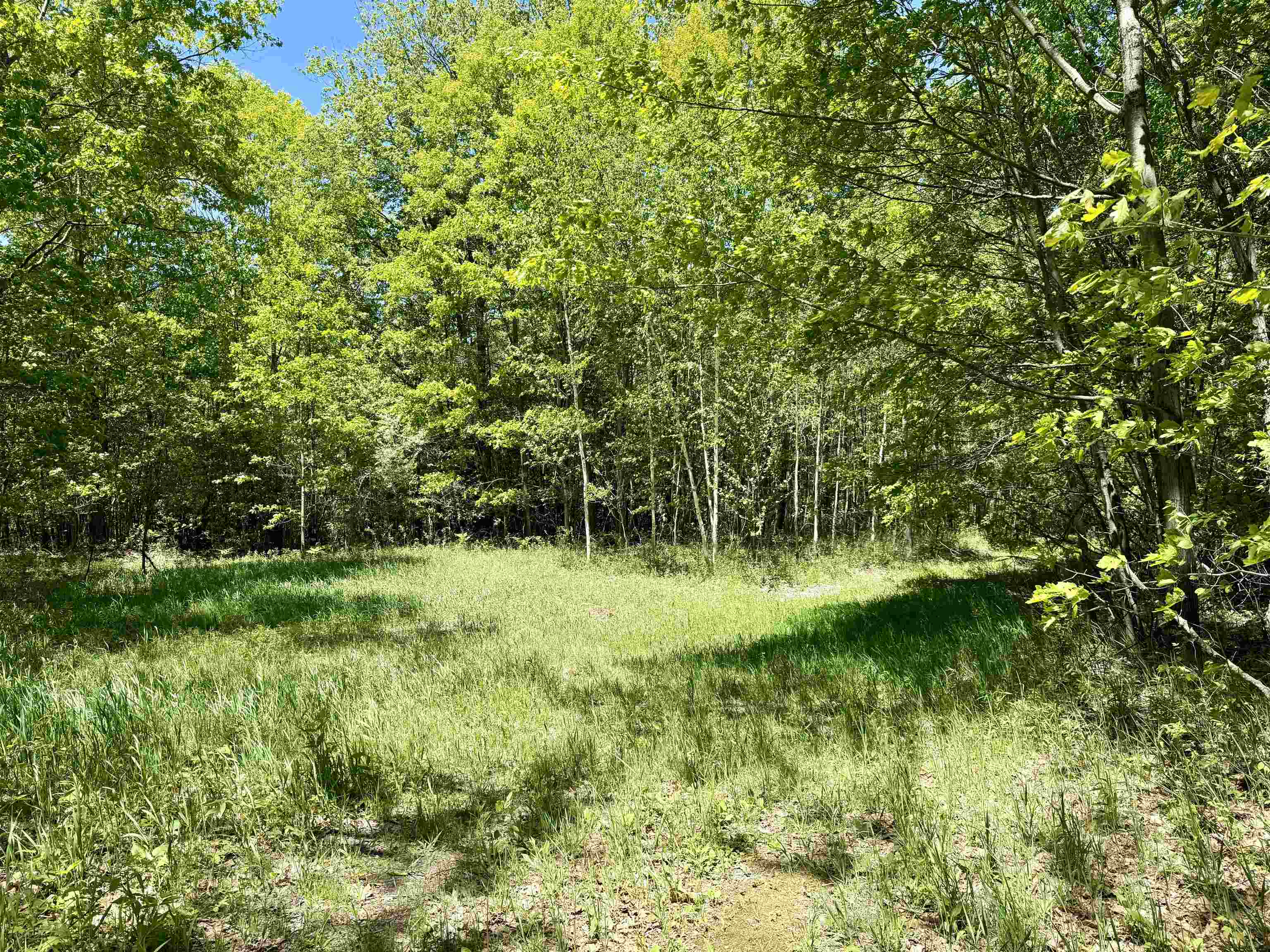 8480 Ora Lake Road Property Photo 20