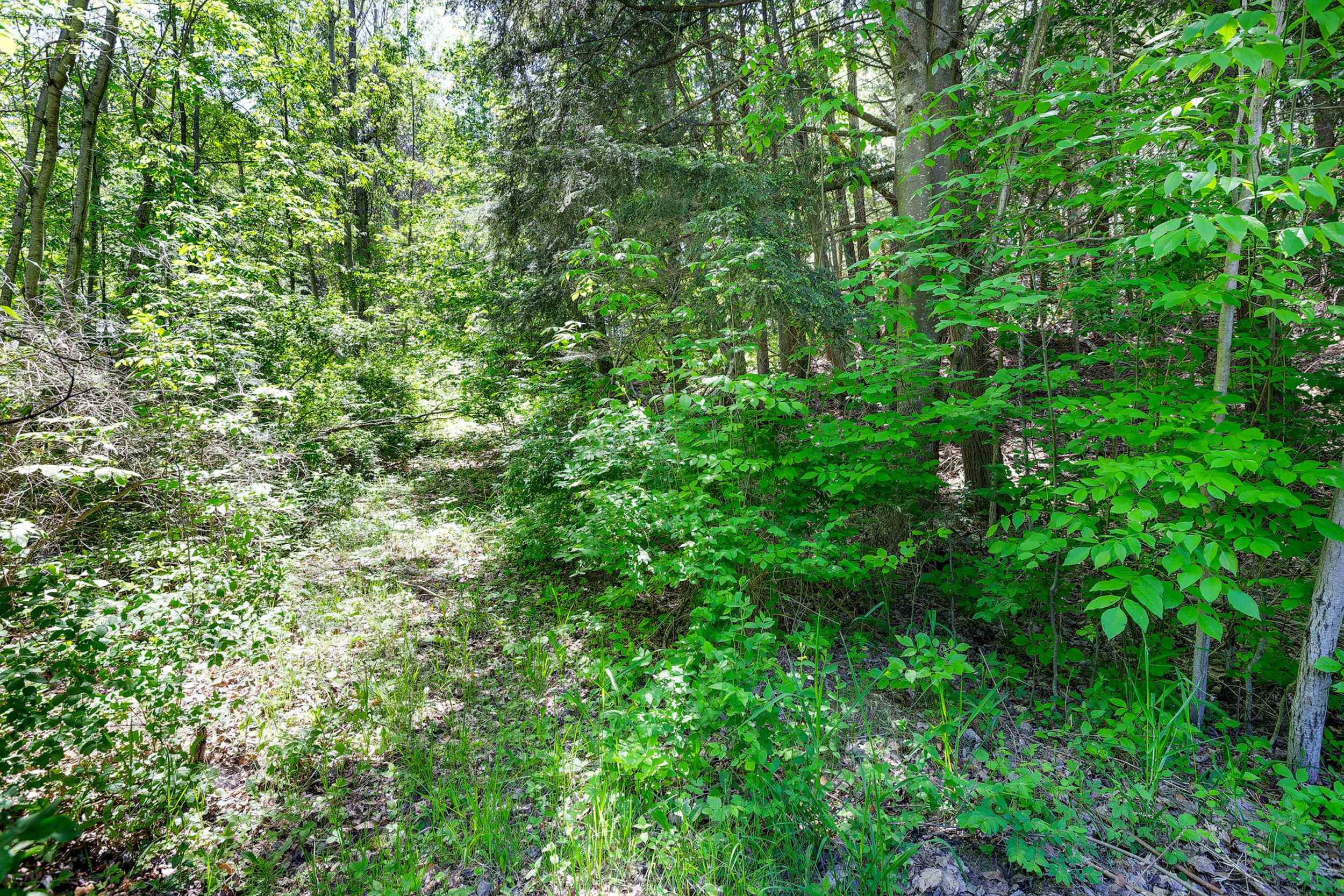 5493 Indian Trail Property Photo 13