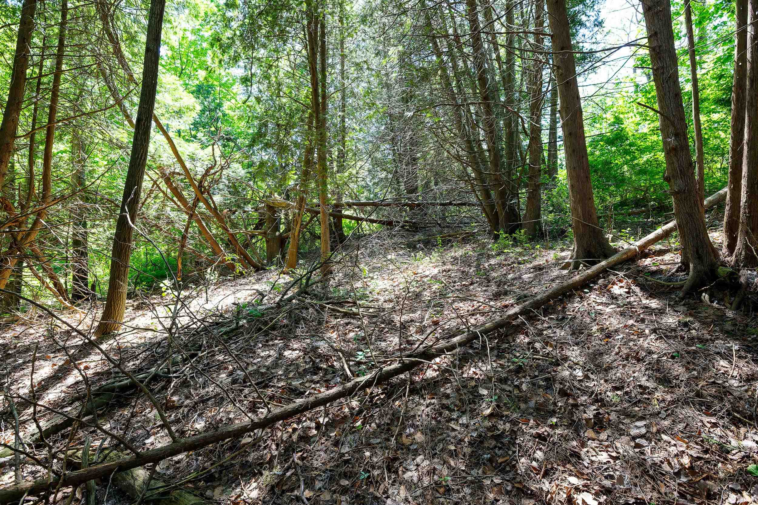 5493 Indian Trail Property Photo 15