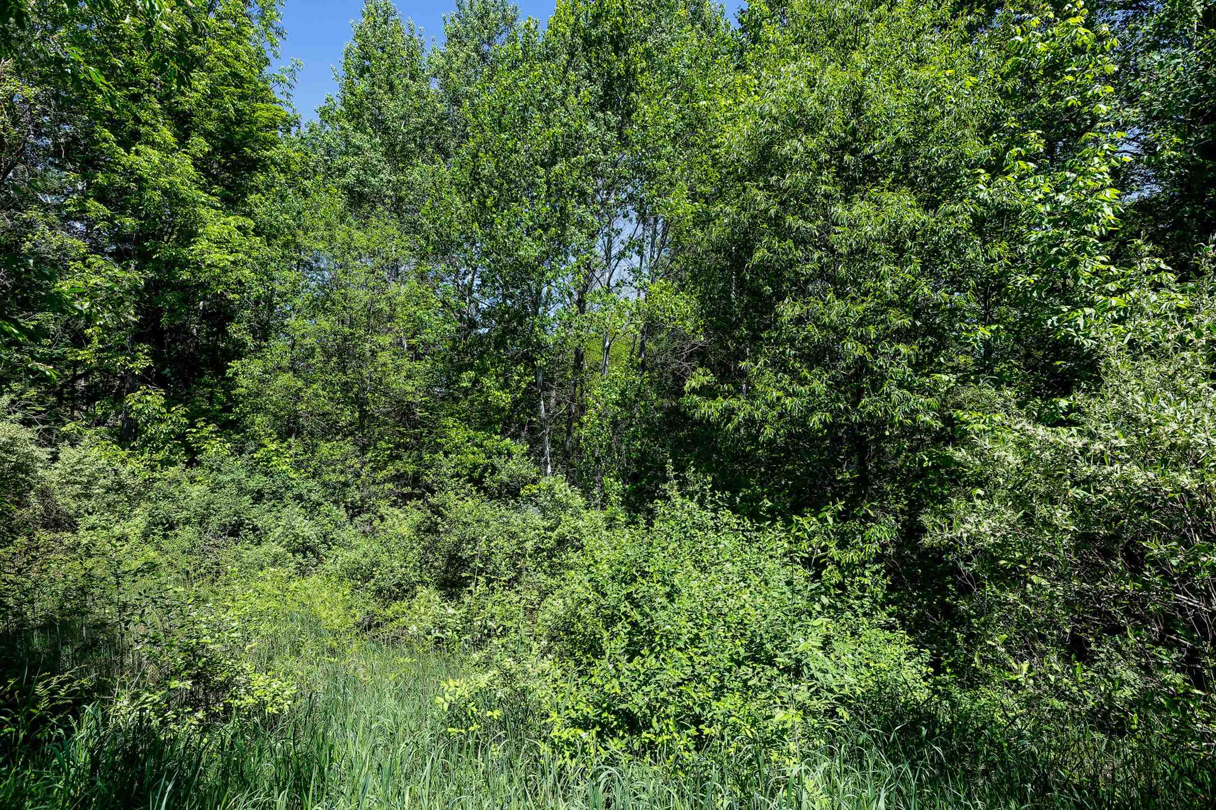 5493 Indian Trail Property Photo 18