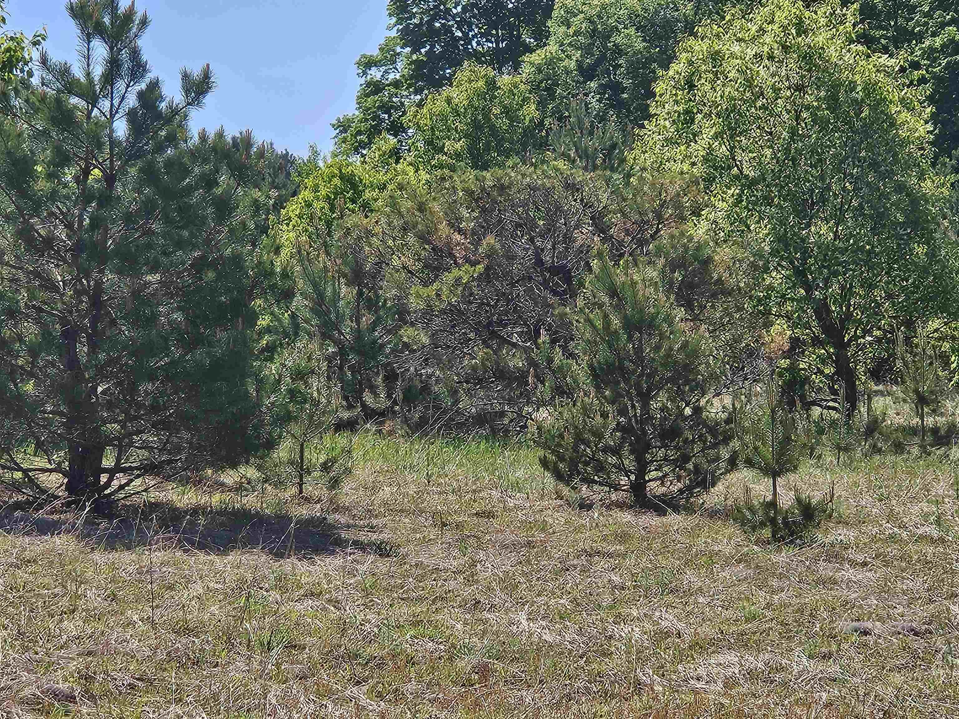 V/L Parcel C SE Grass Lake Road Property Photo 1