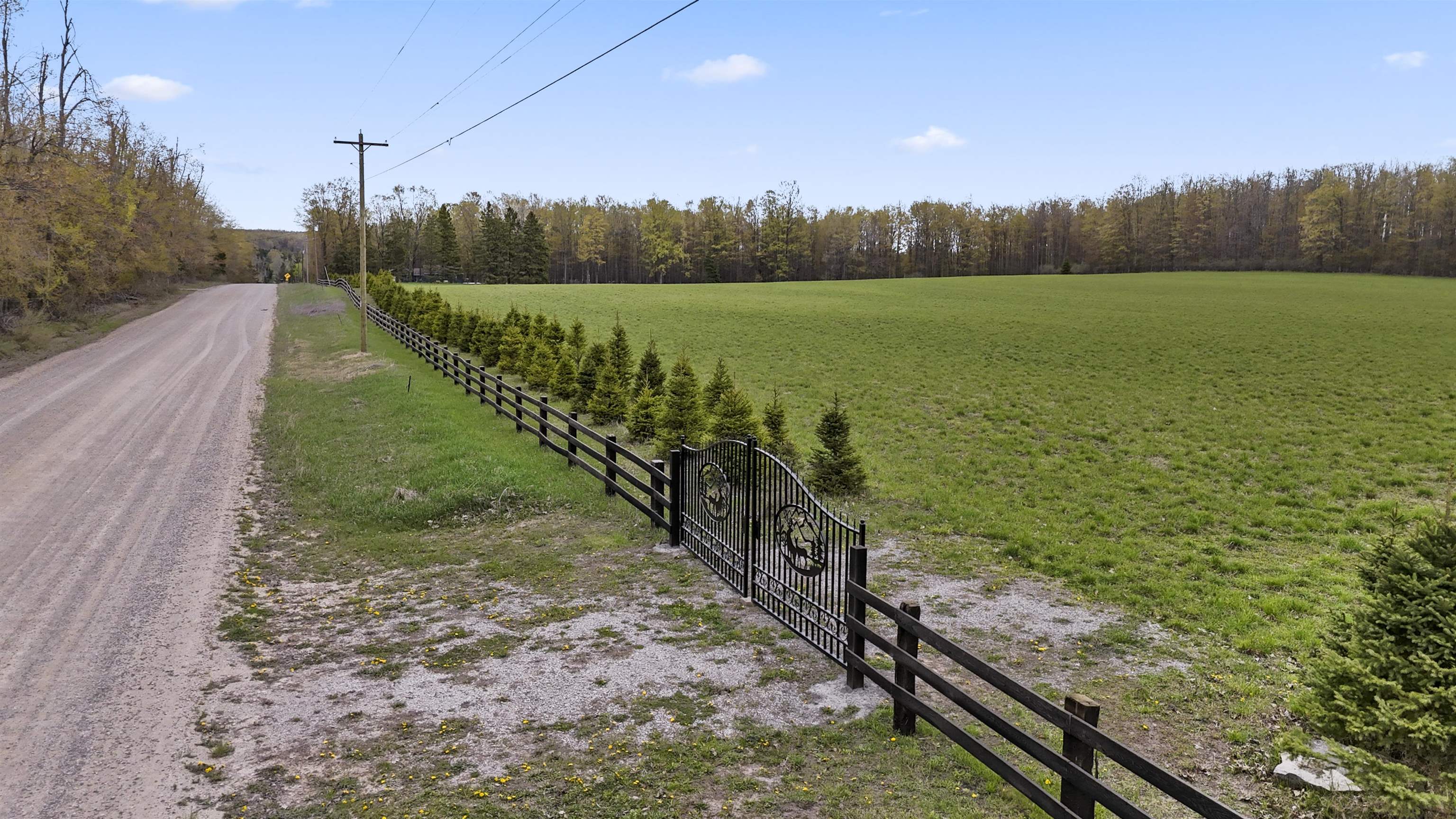 8055 Farrier Road Property Photo 79
