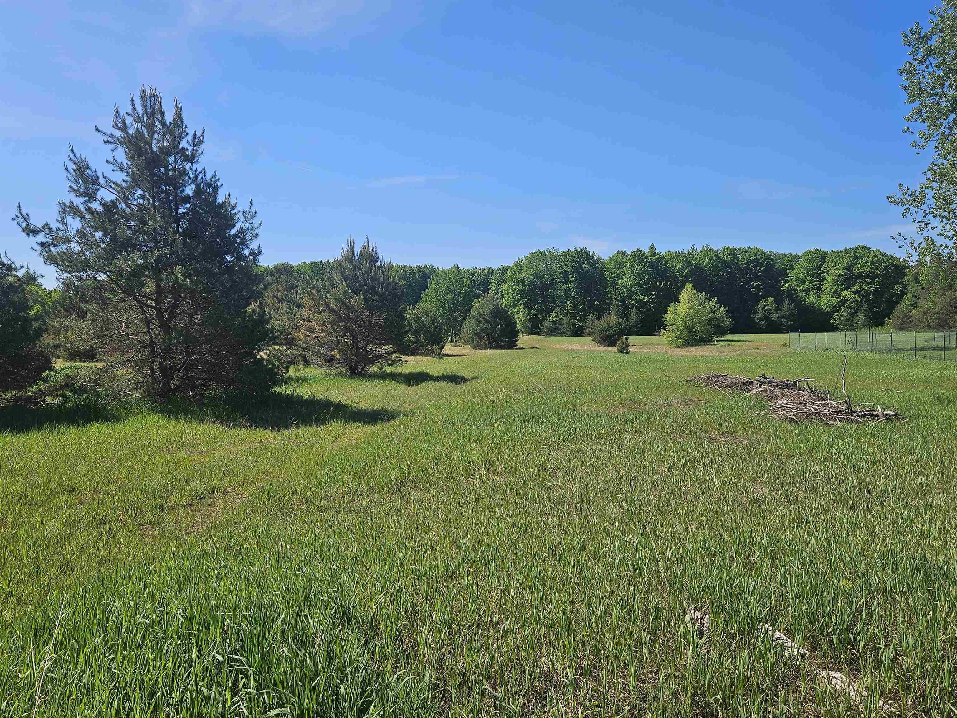 V/L Parcel B SE Grass Lake Road Property Photo 1