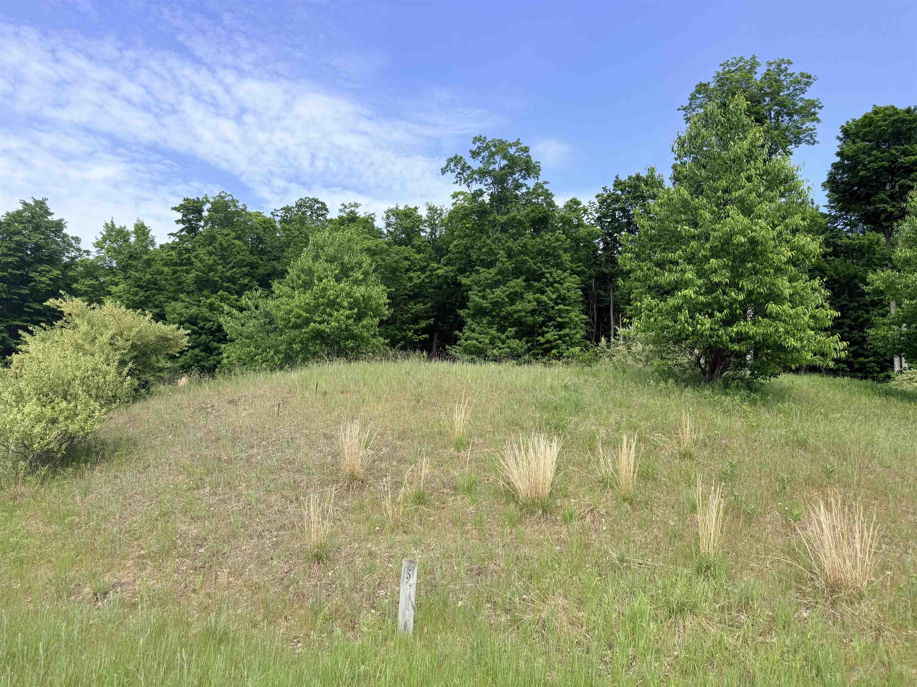 00 W Sleepy Valley Drive Property Photo 7