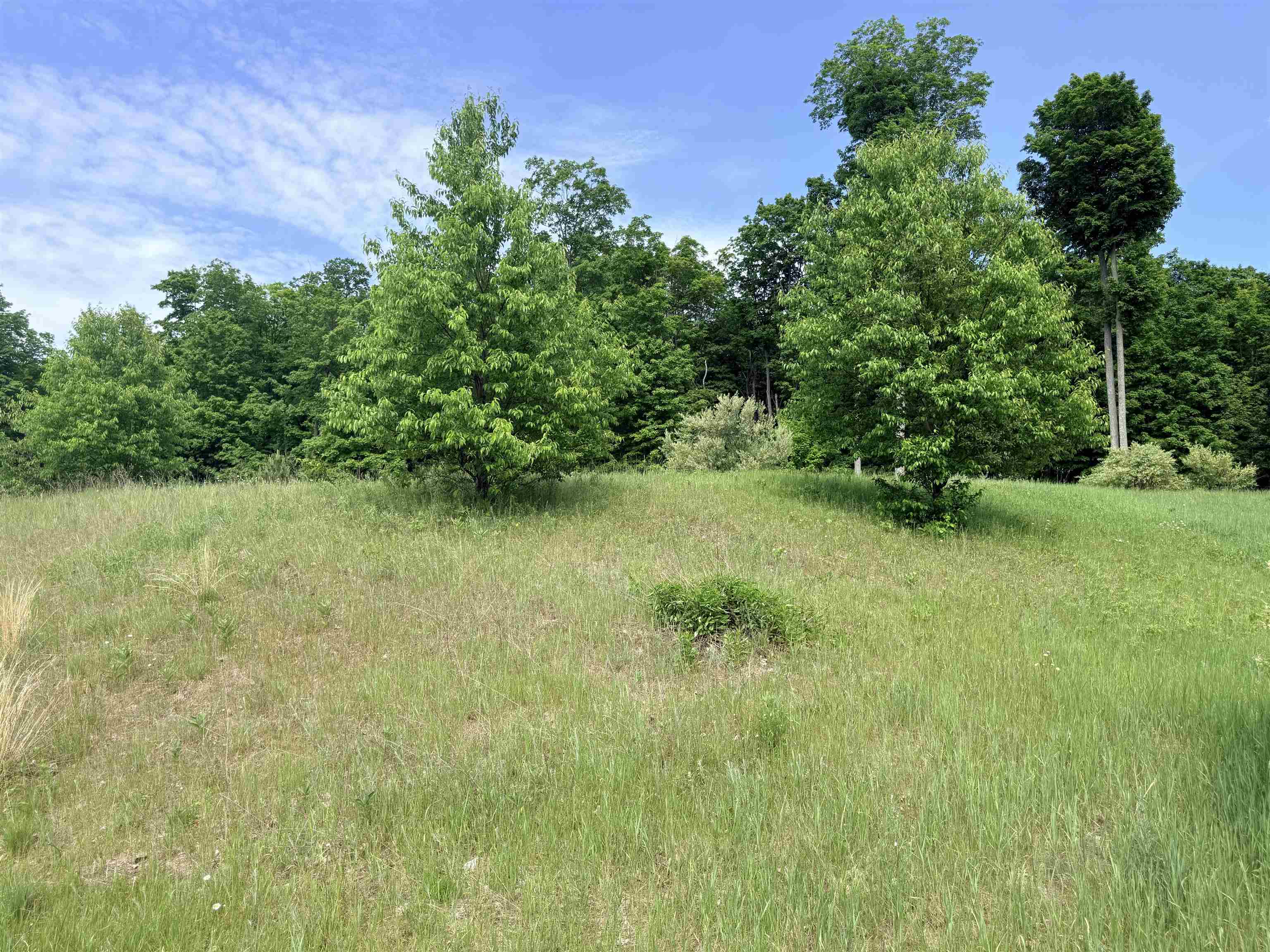 00 W Sleepy Valley Drive Property Photo 8