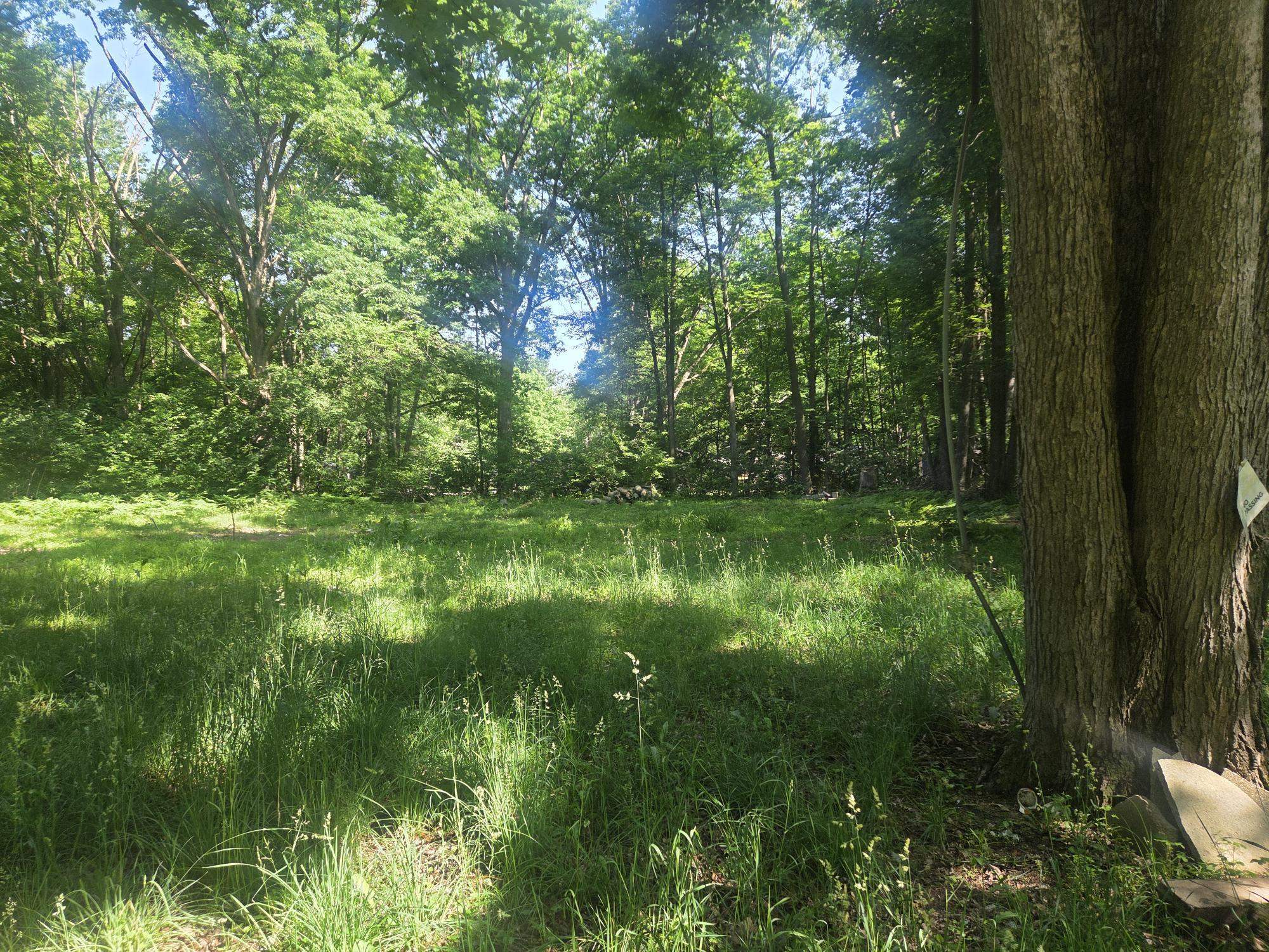 7820 Wilderness Drive Property Photo 2