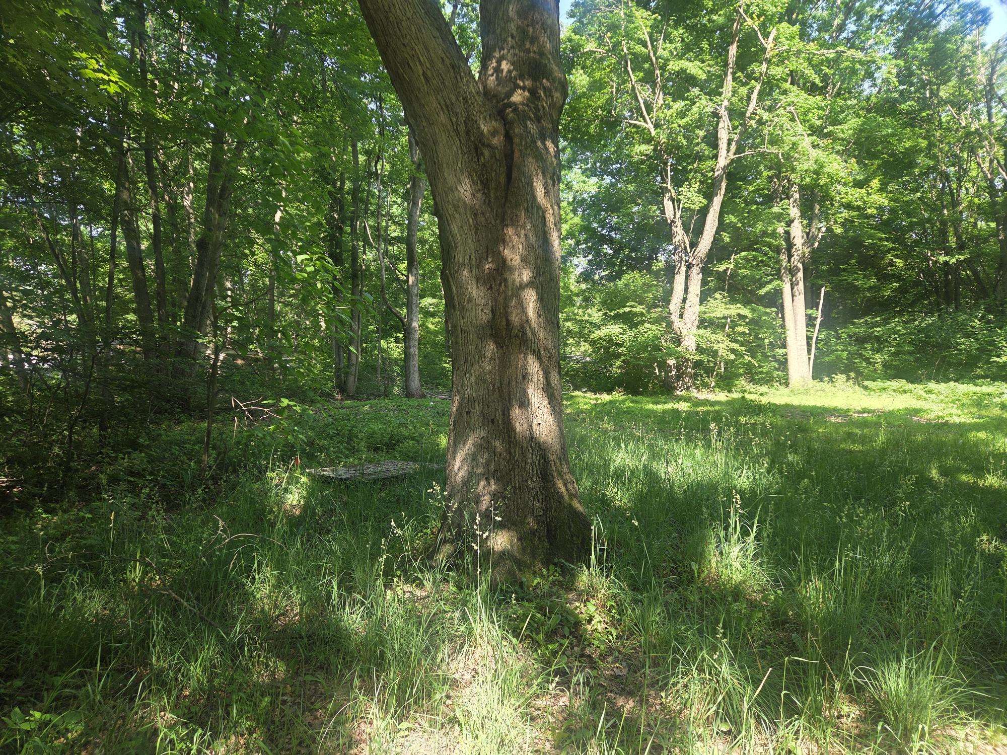 7820 Wilderness Drive Property Photo 3