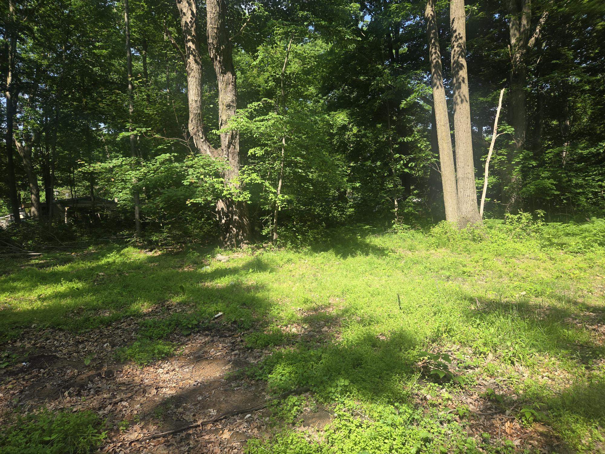 7820 Wilderness Drive Property Photo 9
