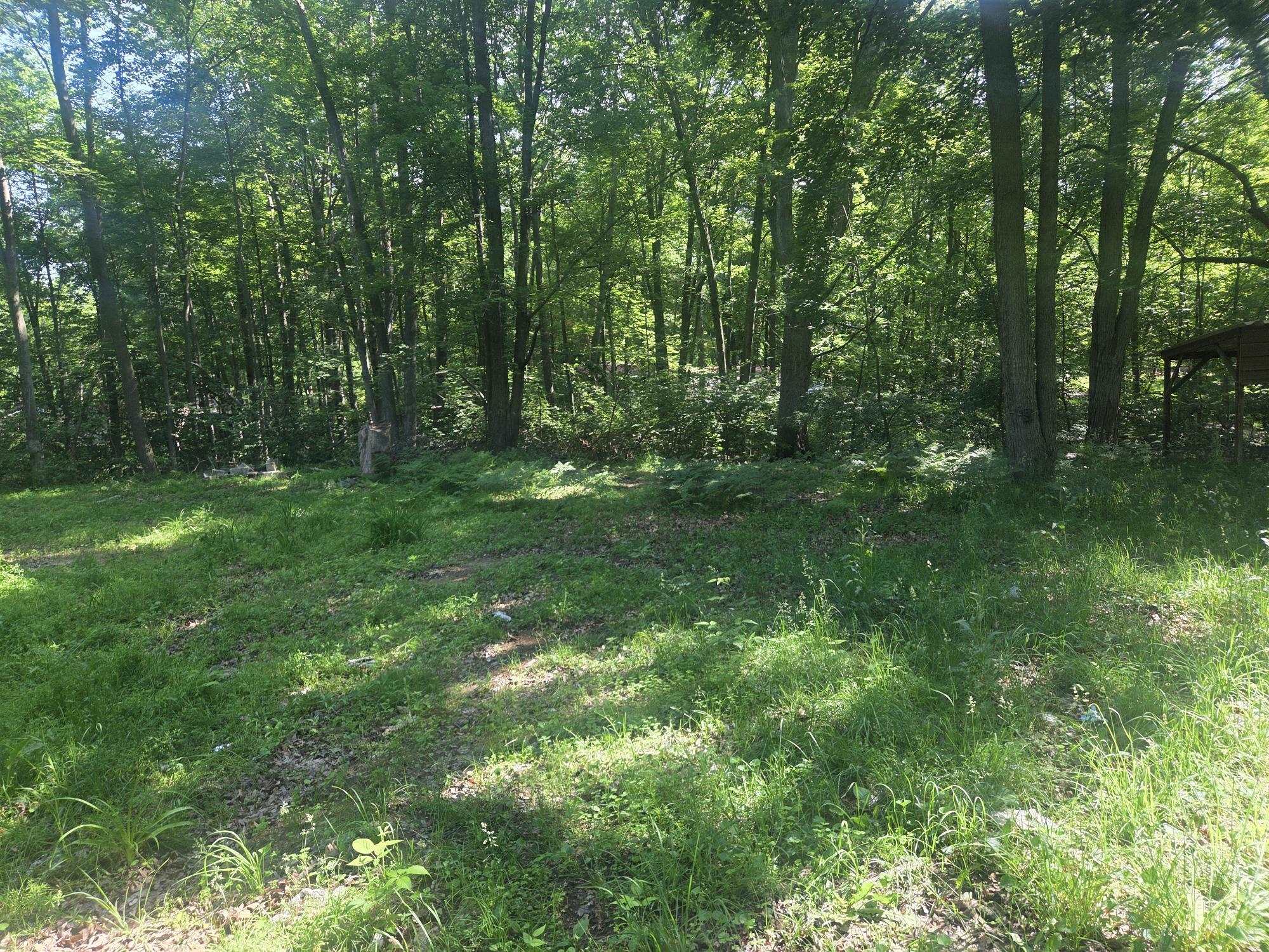 7820 Wilderness Drive Property Photo 10