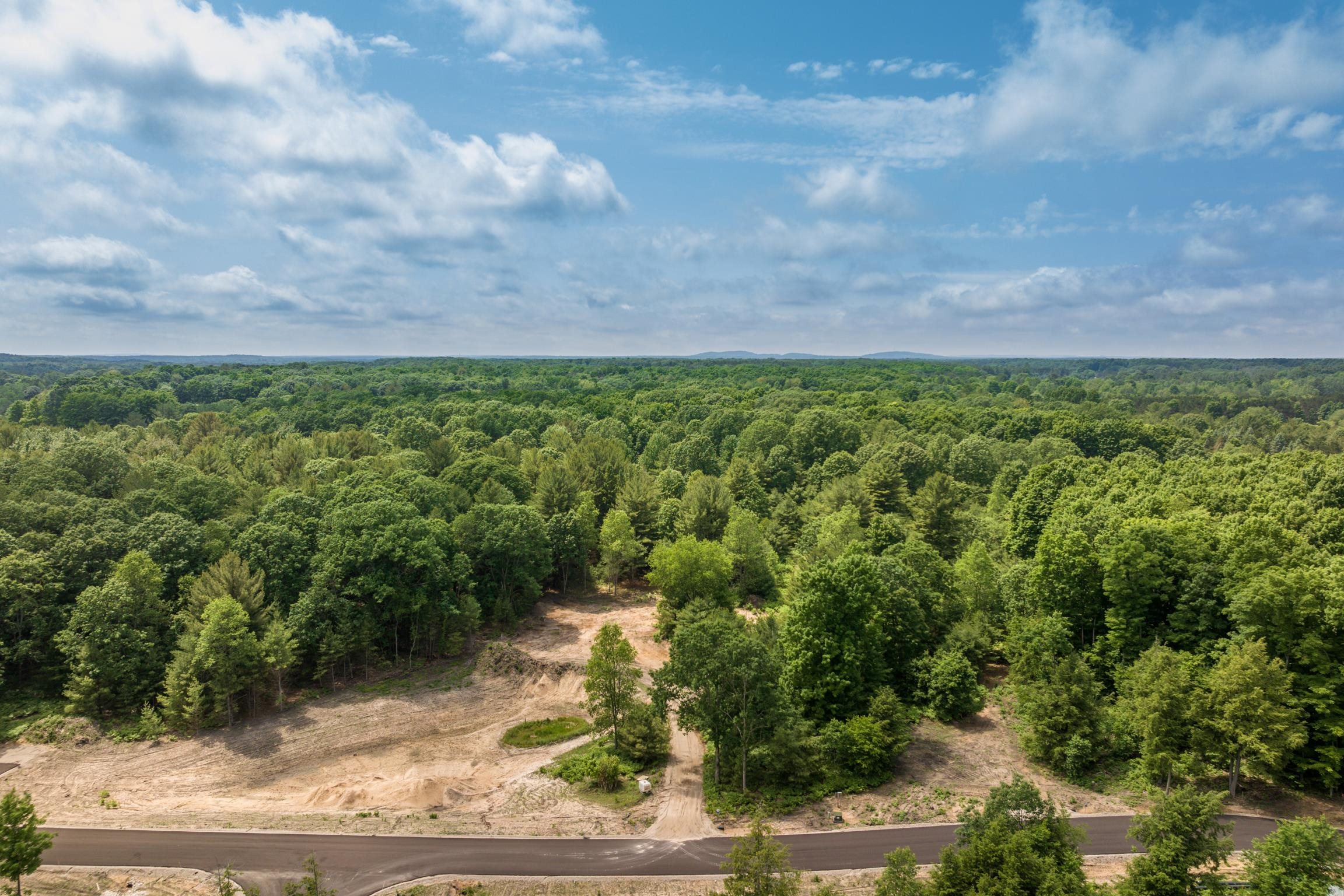 4717 Leaning Birch Drive Property Photo 4