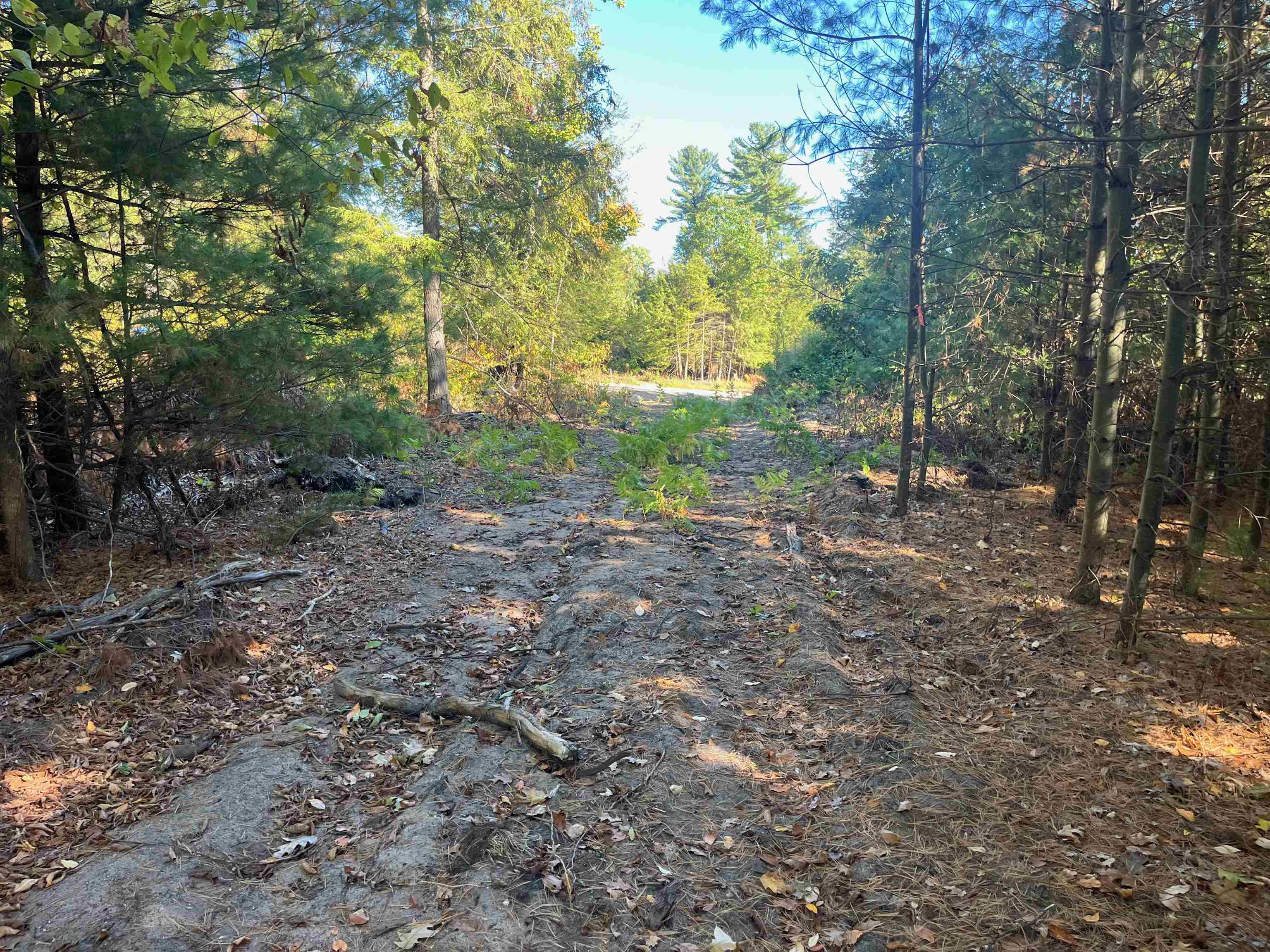 4735 Leaning Birch Drive Property Photo 8