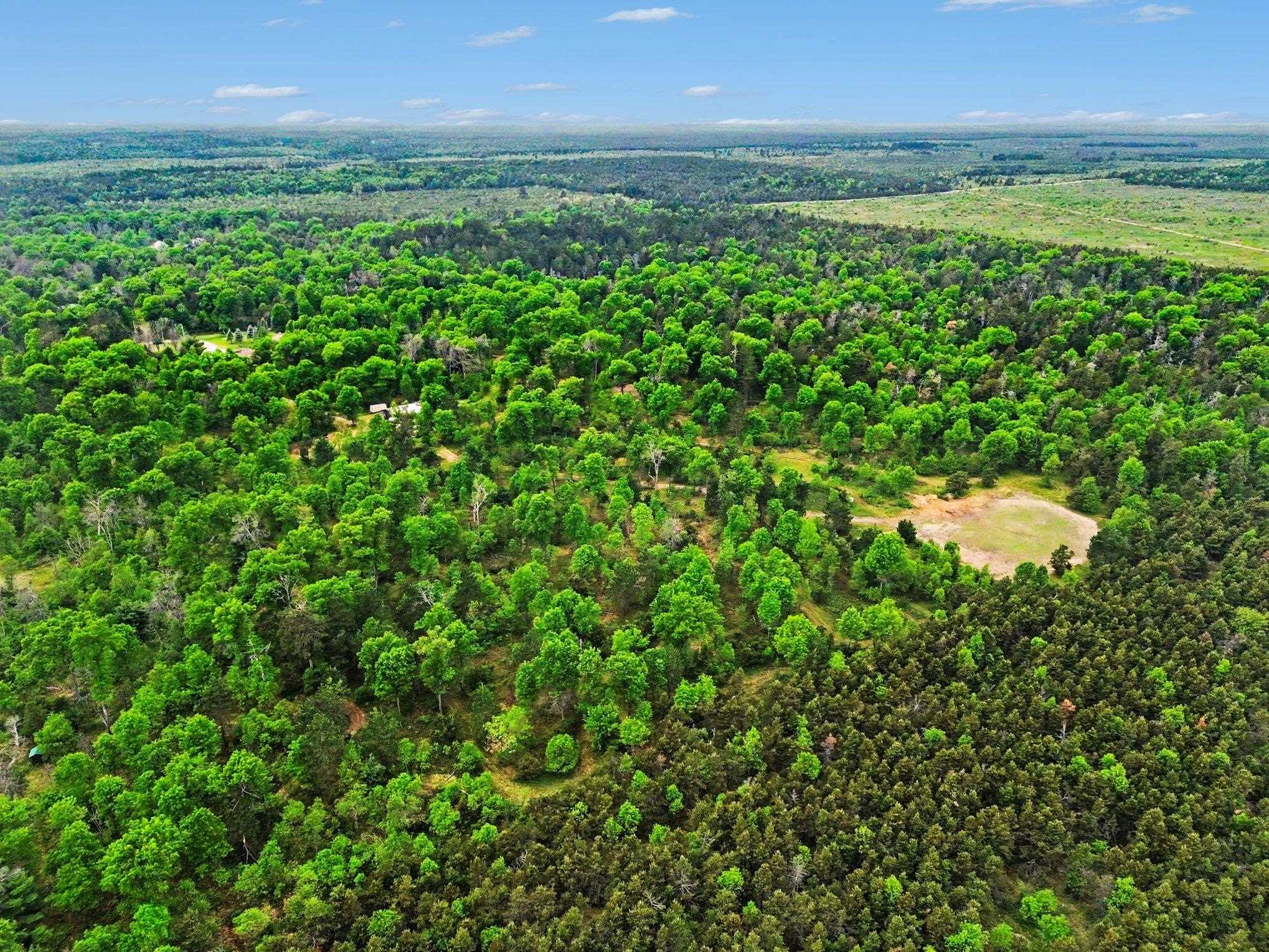 3304 Rabbit Track Drive Property Photo 48