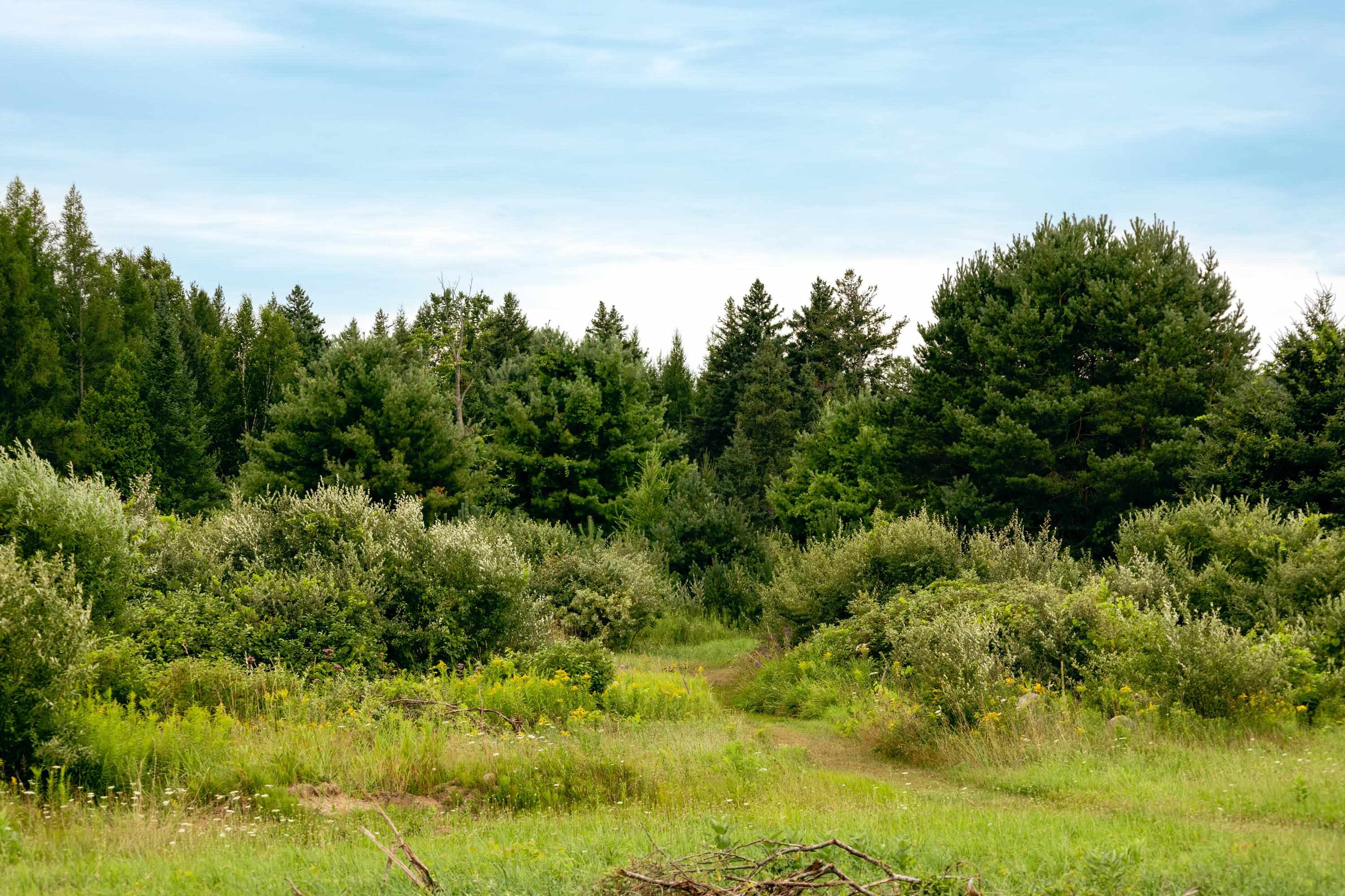 00 E Birch Point Road Property Photo 7