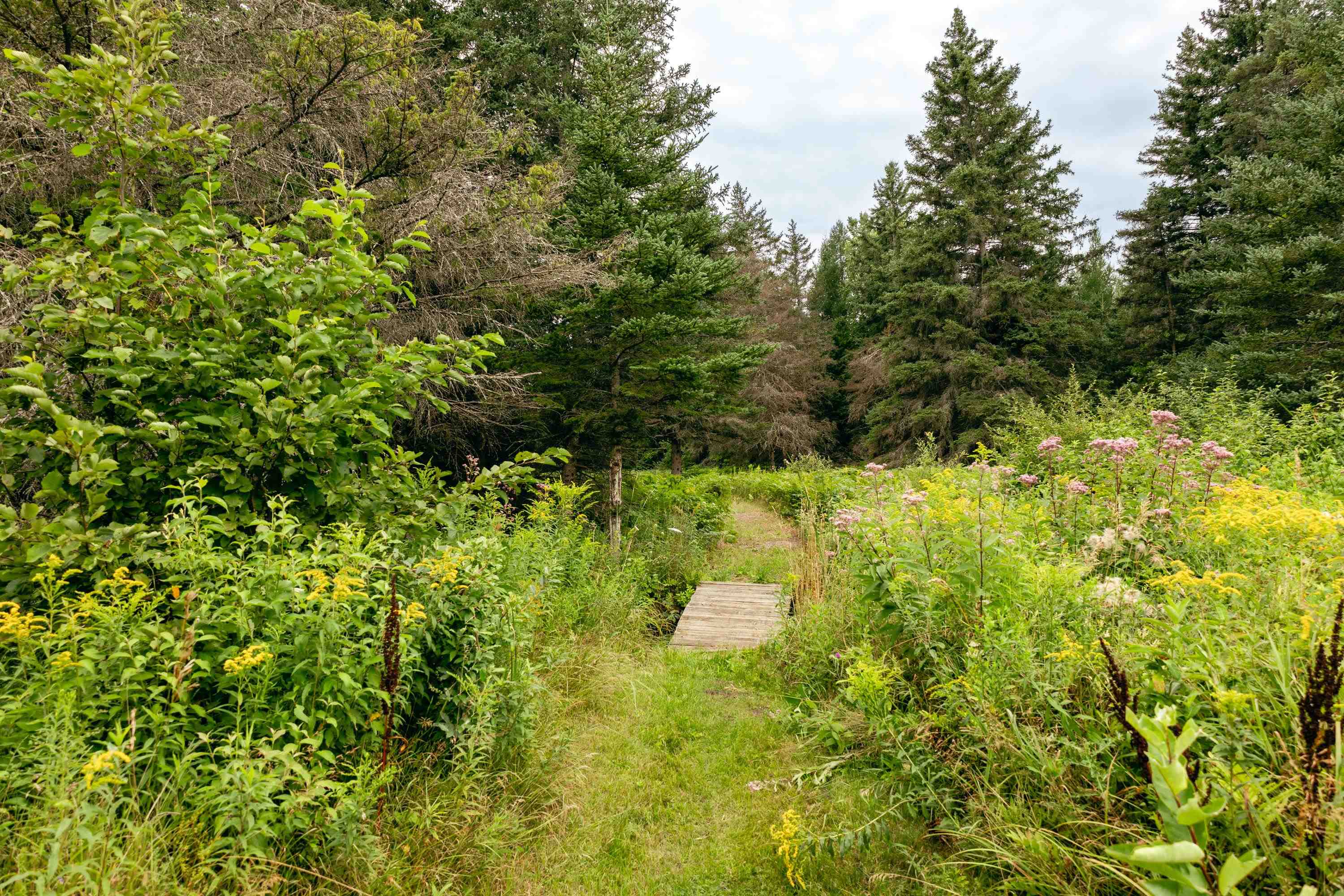00 E Birch Point Road Property Photo 8