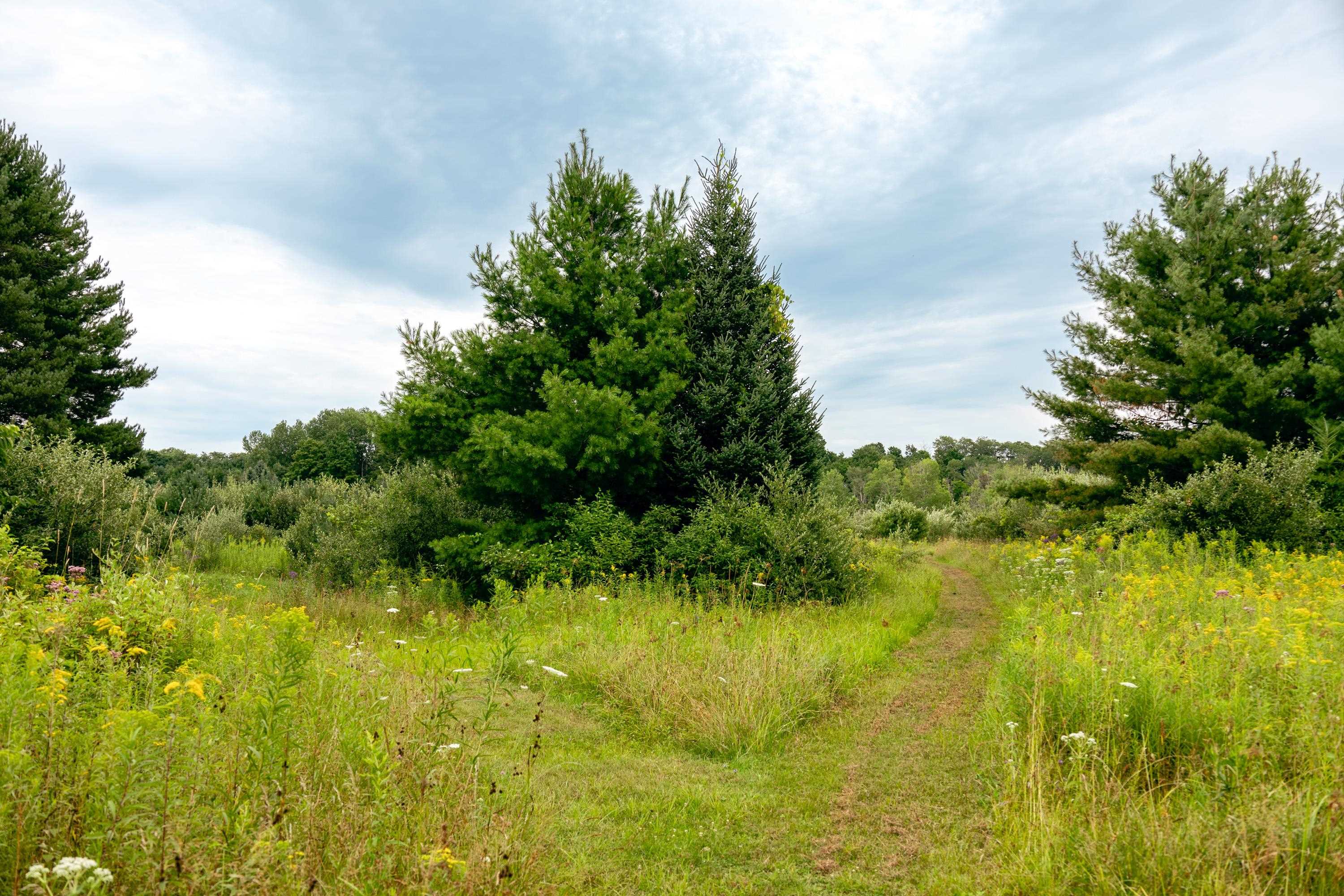 00 E Birch Point Road Property Photo 15