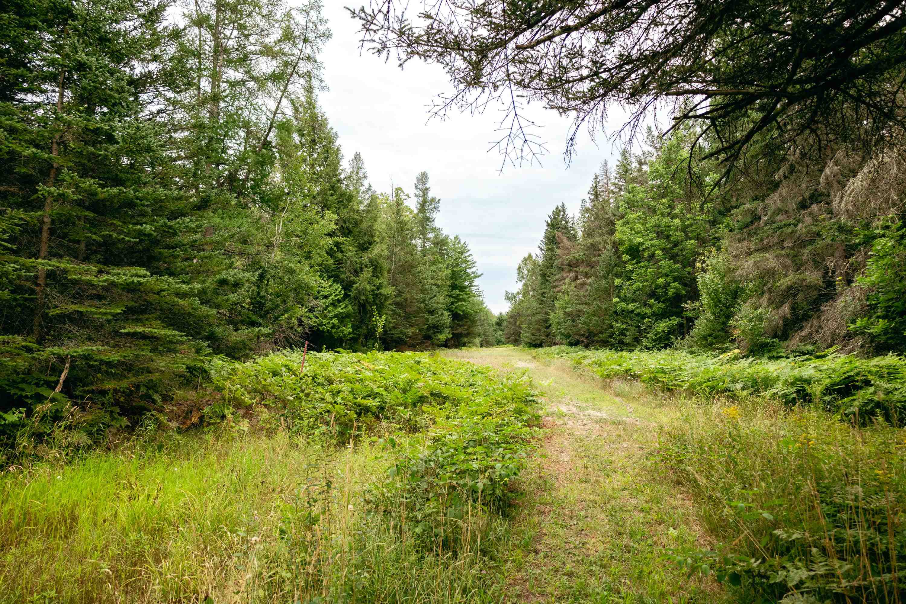 00 E Birch Point Road Property Photo 18