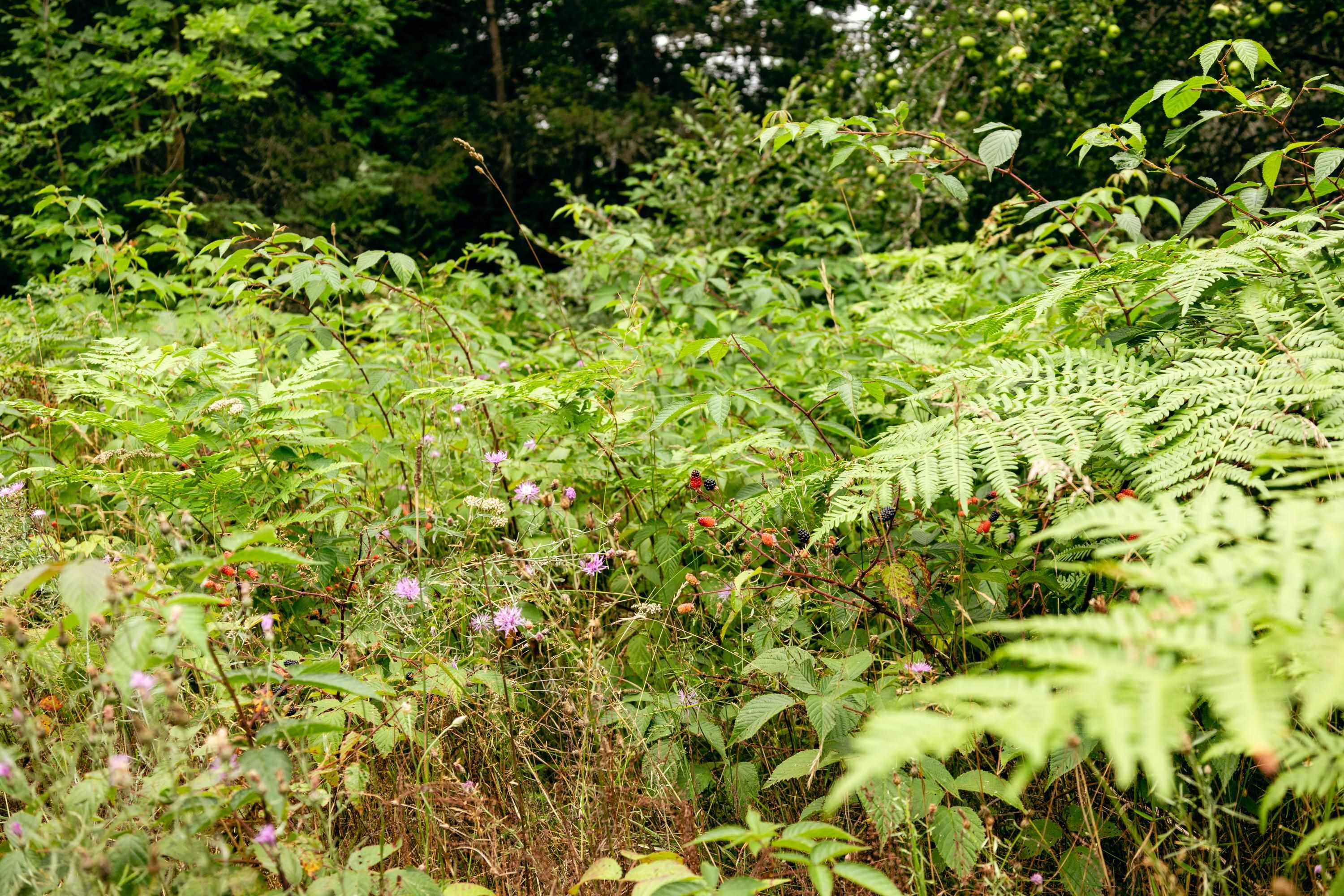 00 E Birch Point Road Property Photo 19